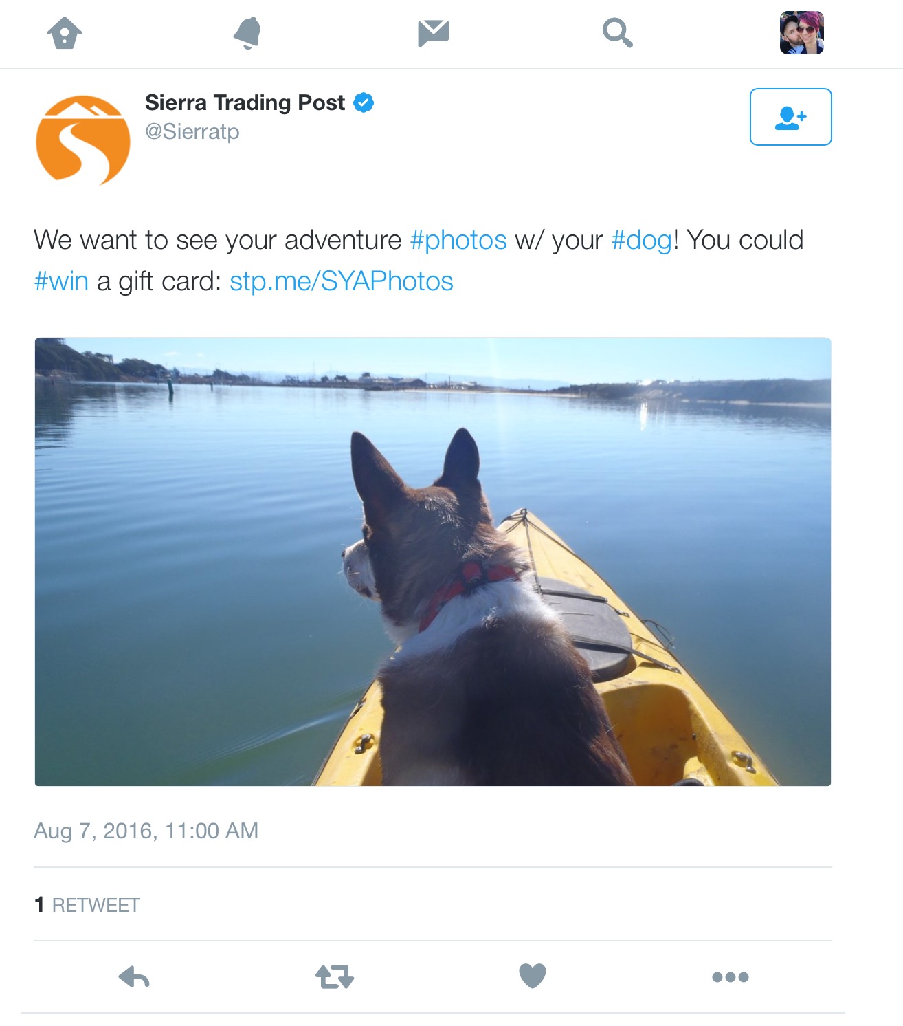 Week 5 Comparing REI with Cabela’s and Sierra Trading Post A Quiver Full