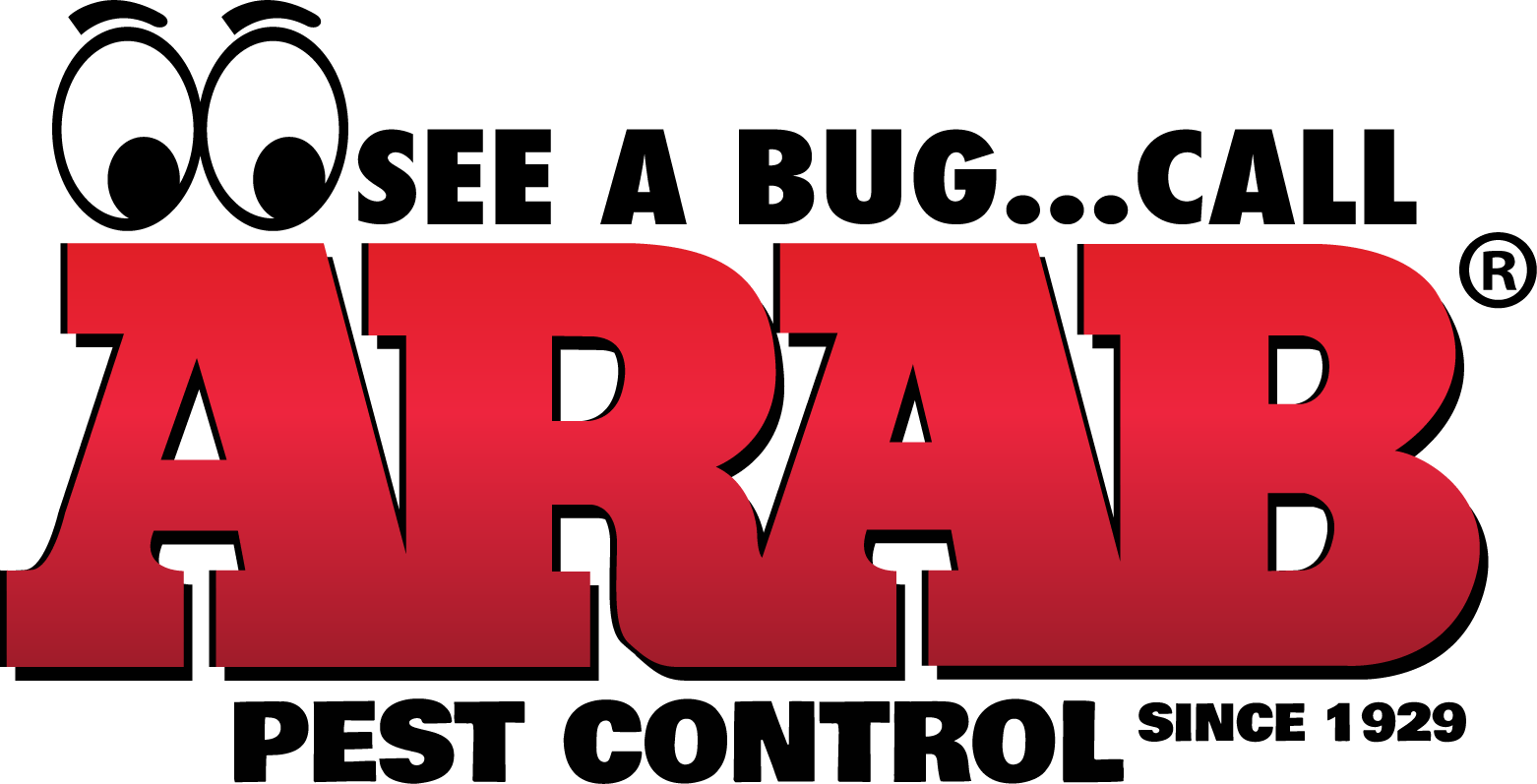 About Us Arab Pest Control