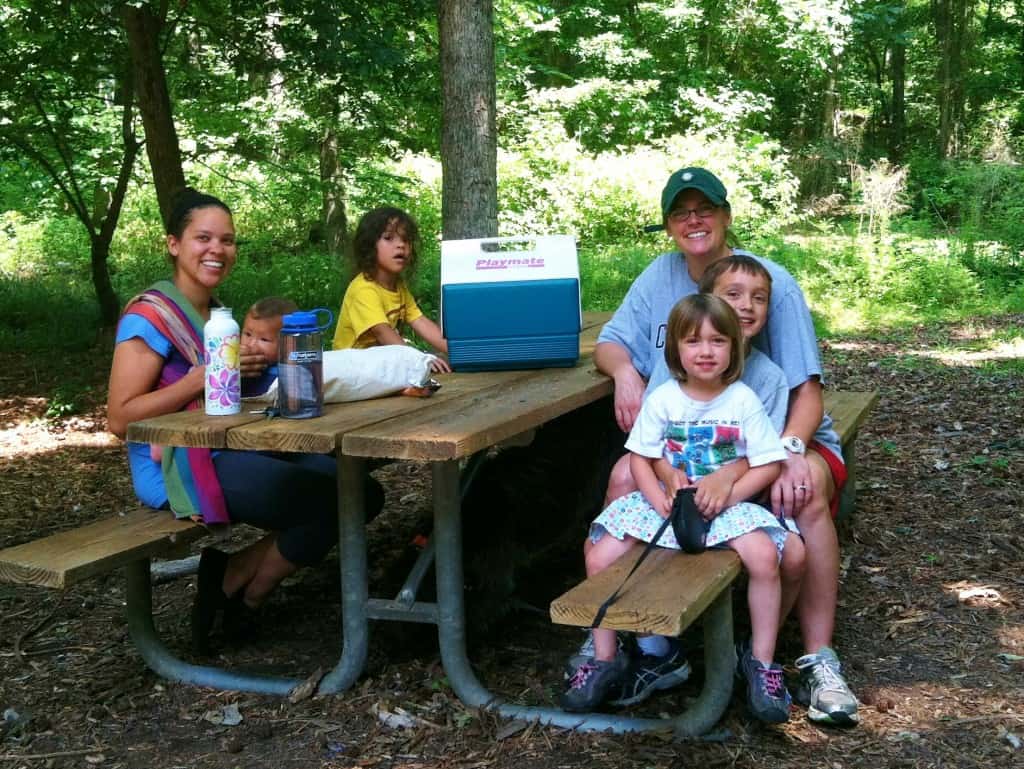 Best Picnic Spot Arabia Mountain National Heritage Area