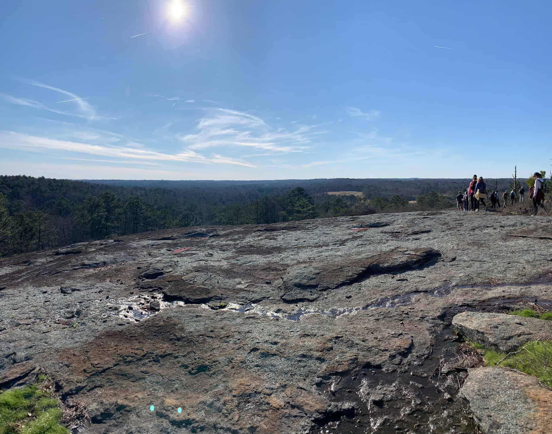 Discover Panola Mountain State Park Arabia Mountain