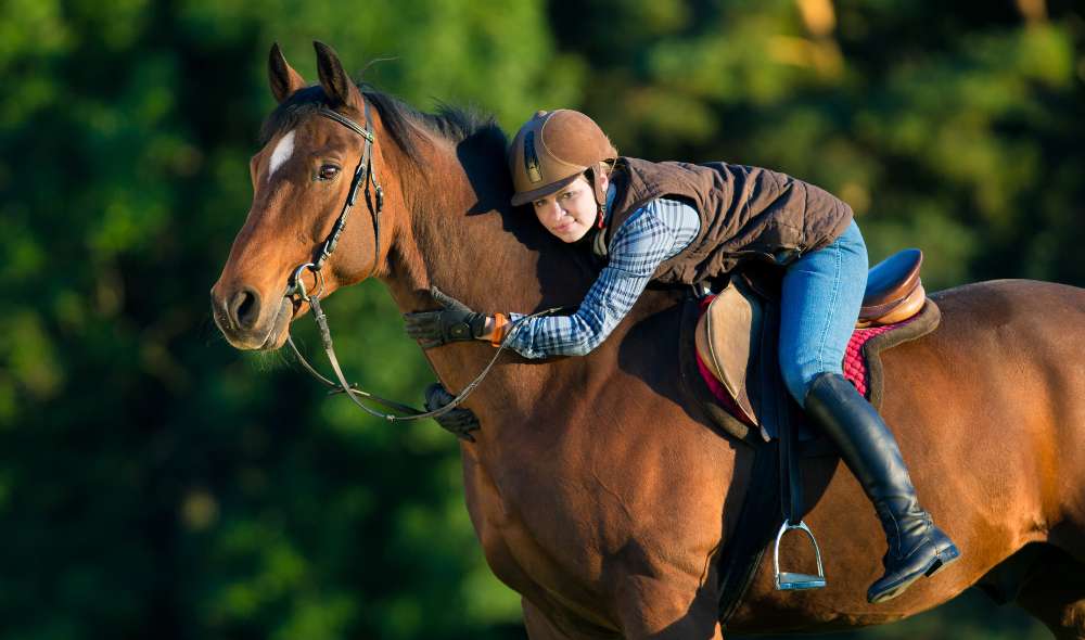 Horse Riding in UAE 5 MustVisit Destinations for an