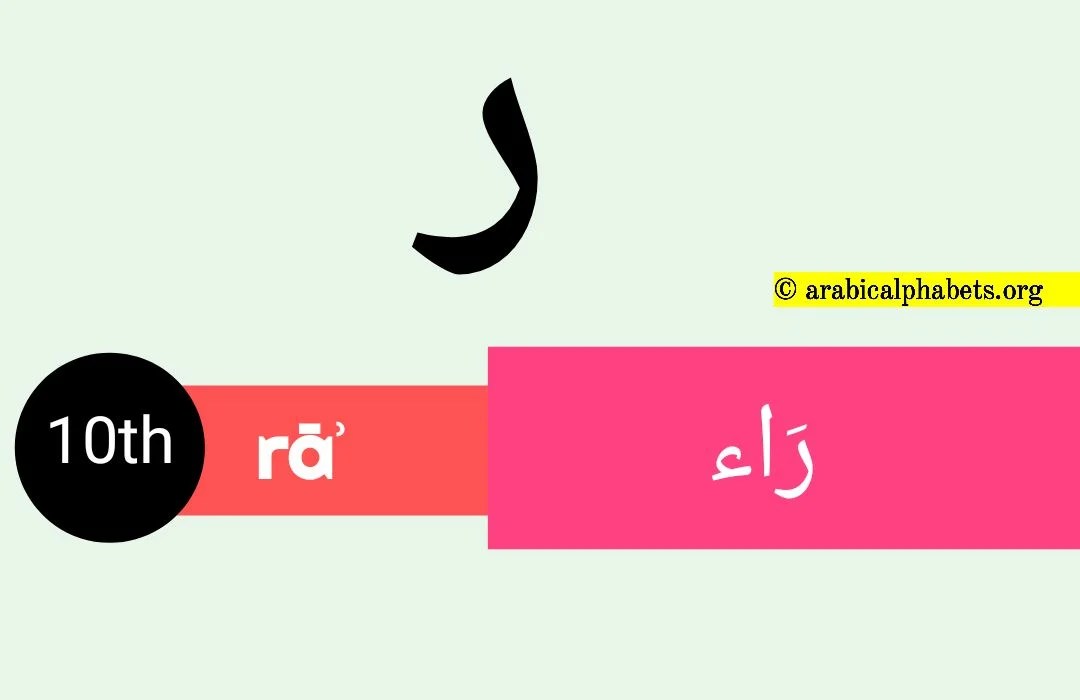 Tenth Arabic Alphabet Letter