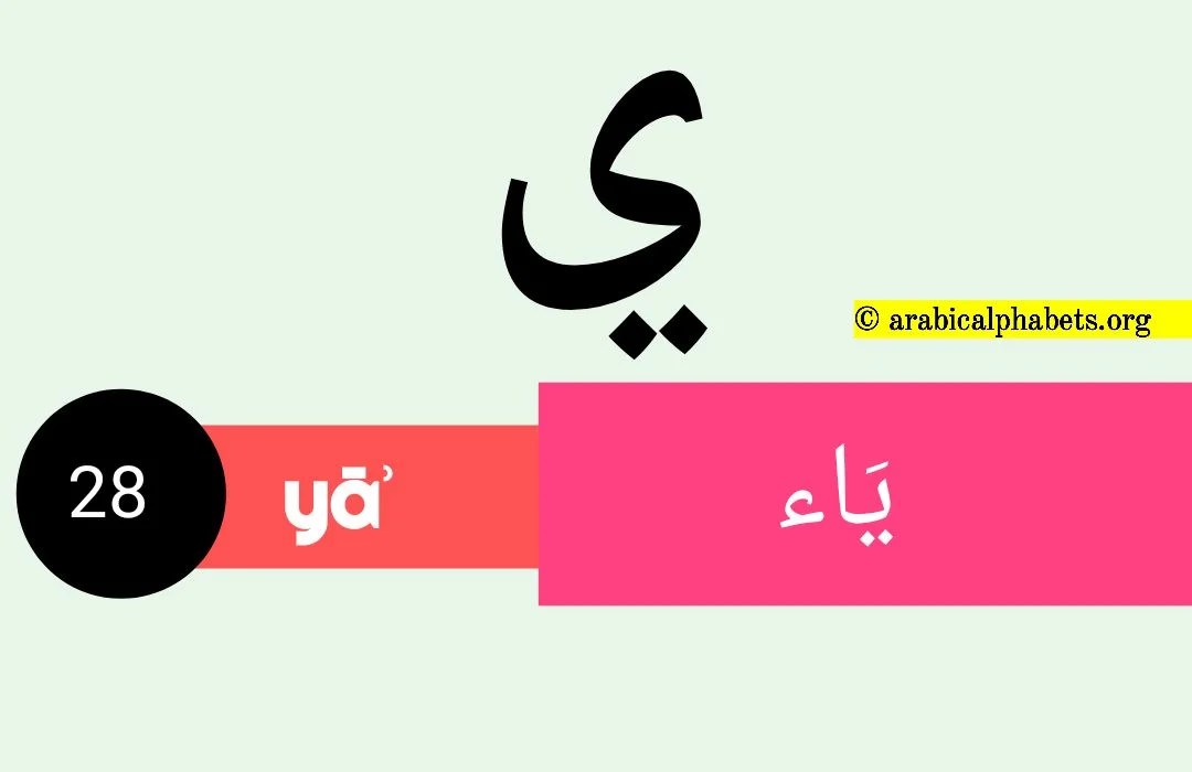 7 Bold Letters Arabic Alphabet