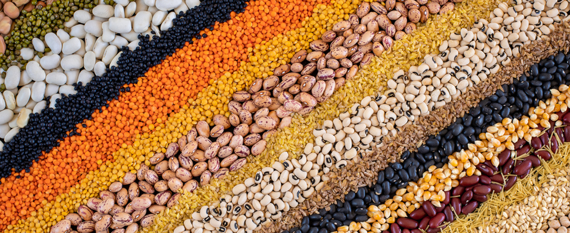 Whole Grains Arab India Spices