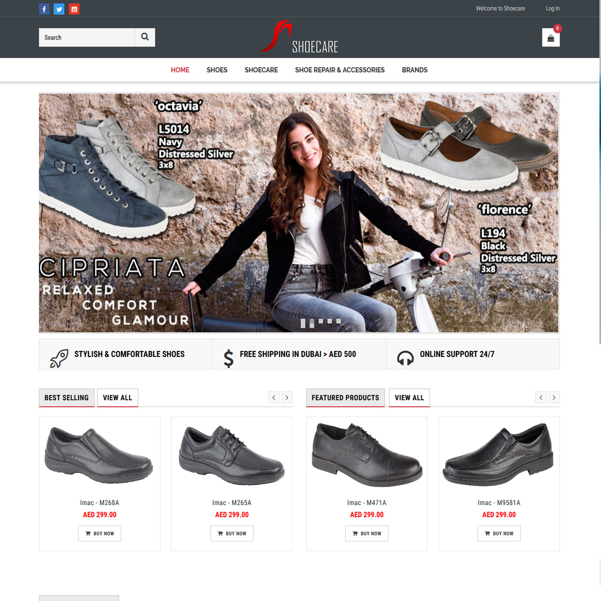 Website Development in Dubai Website Design Dubai