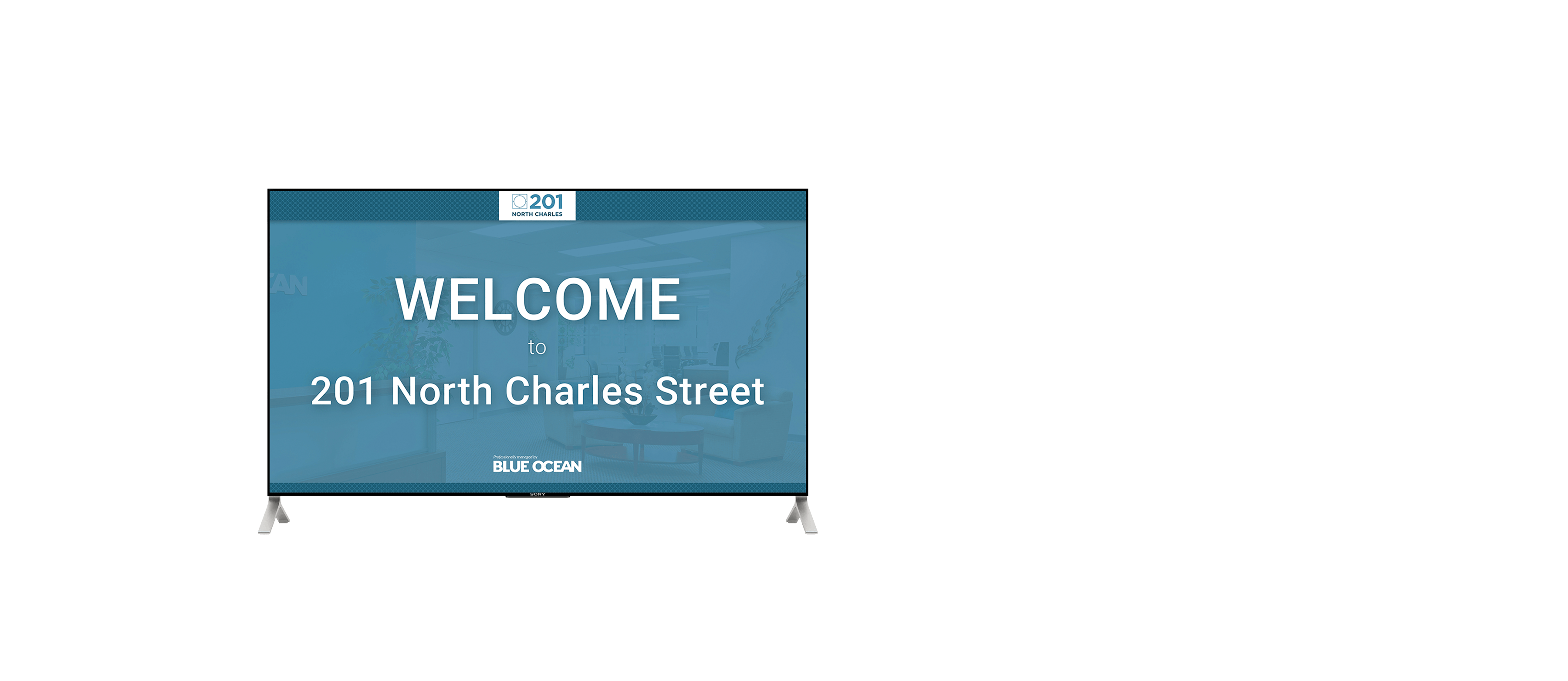 ArachnidWorks Marketing Case Study Blue Ocean Realty ArachnidWorks