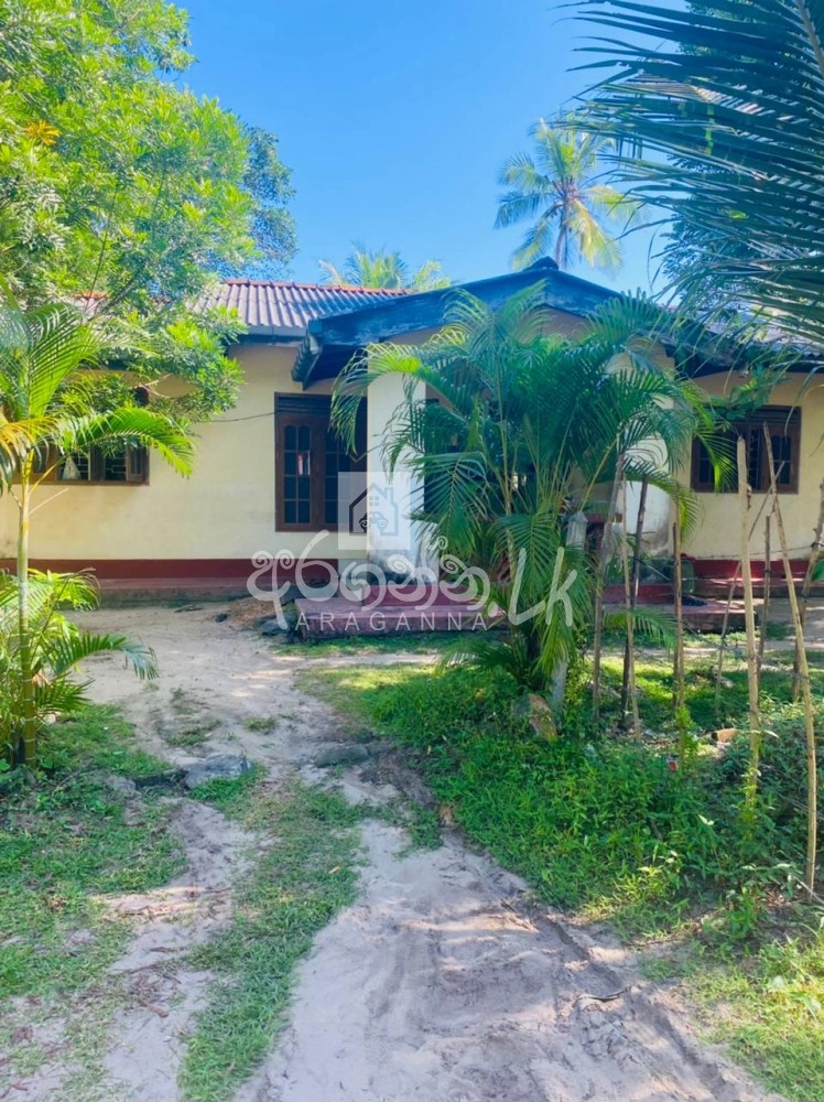 House for sale in Galle Balapitiya in Balapitiya House, Land