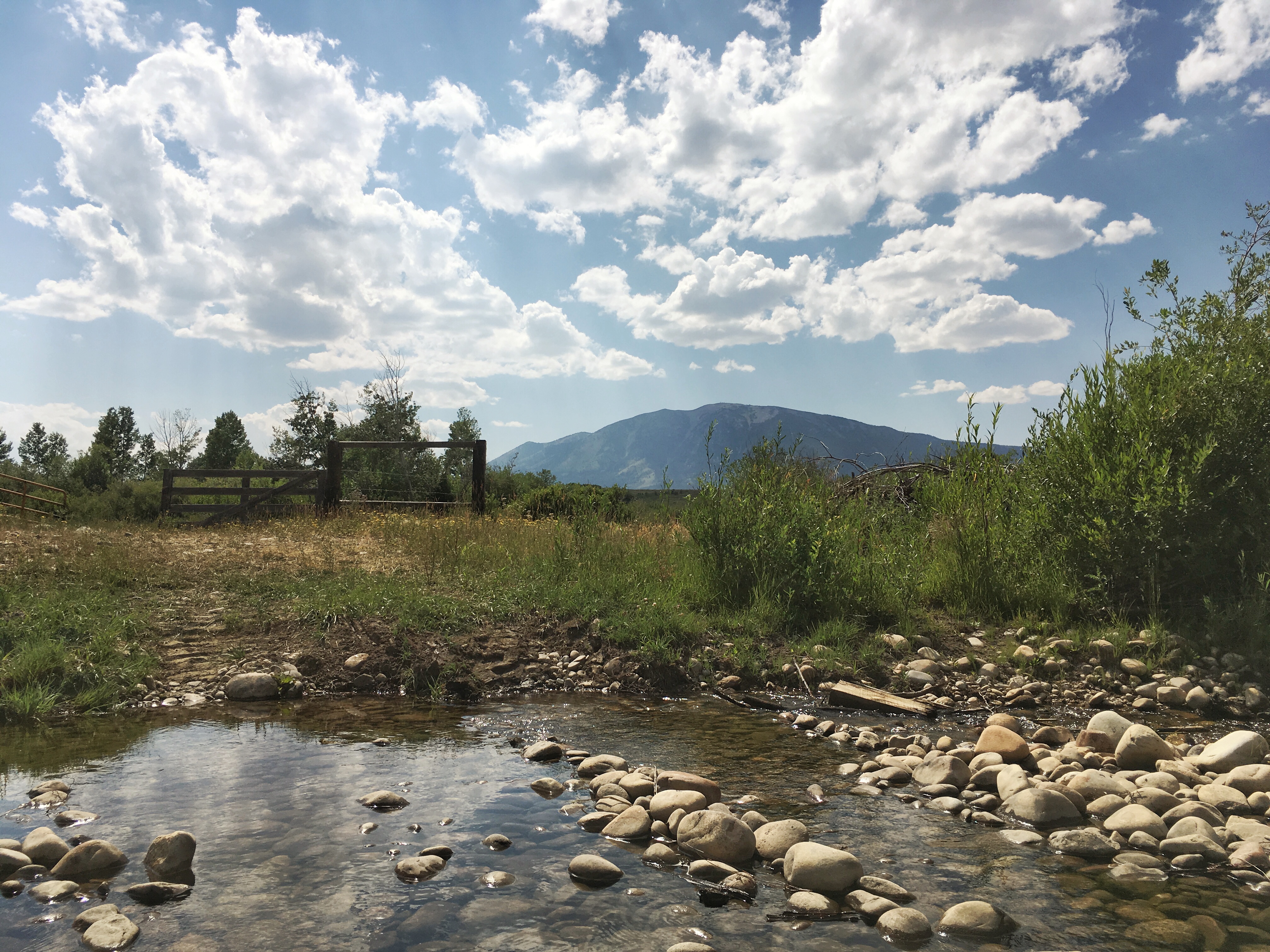 Medicine Bow River A Ranch Mom