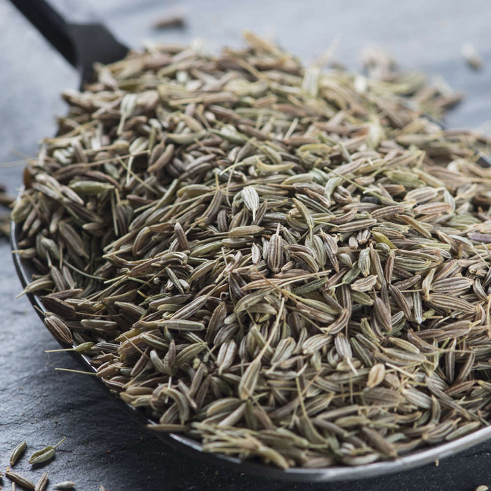 Caraway Seeds Arar Trading