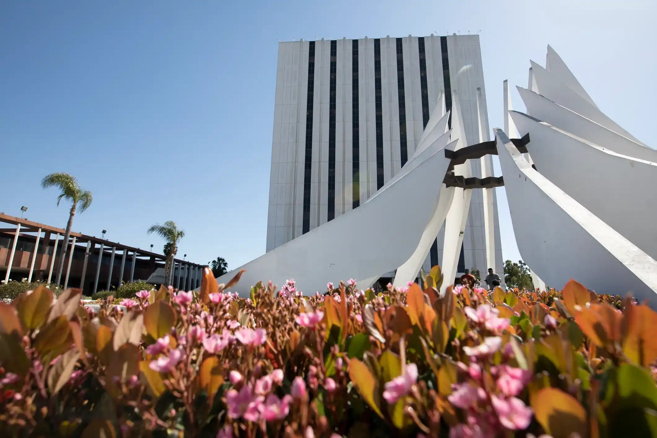 Arash Law Compton Injury Law Firm (888) 4881391