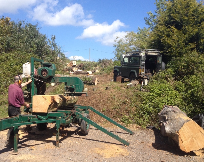 Mobile Sawmill Hire Tree Surgeon Pembrokeshire