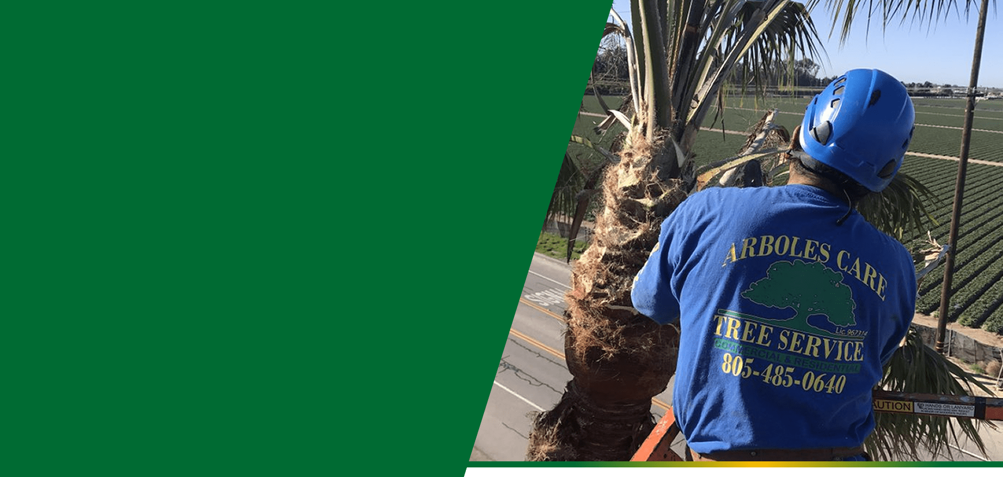 Untitled3 Arboles Care Tree Service