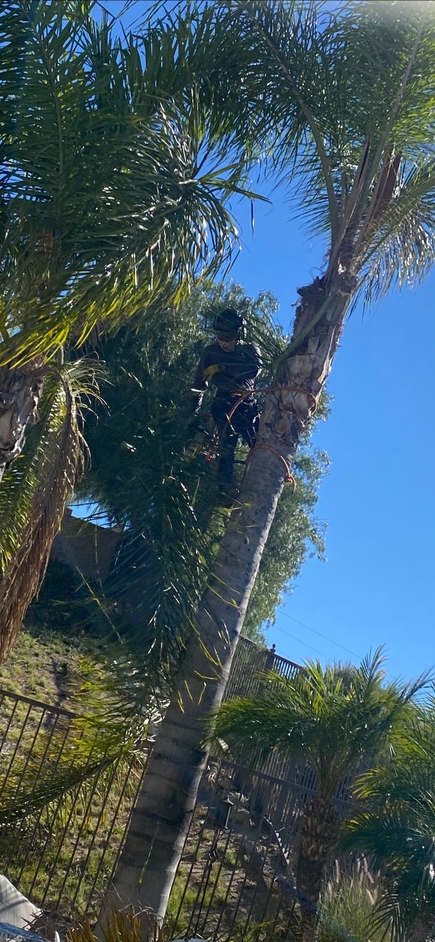 Careers ARBOL ROBLE Landscaping Services