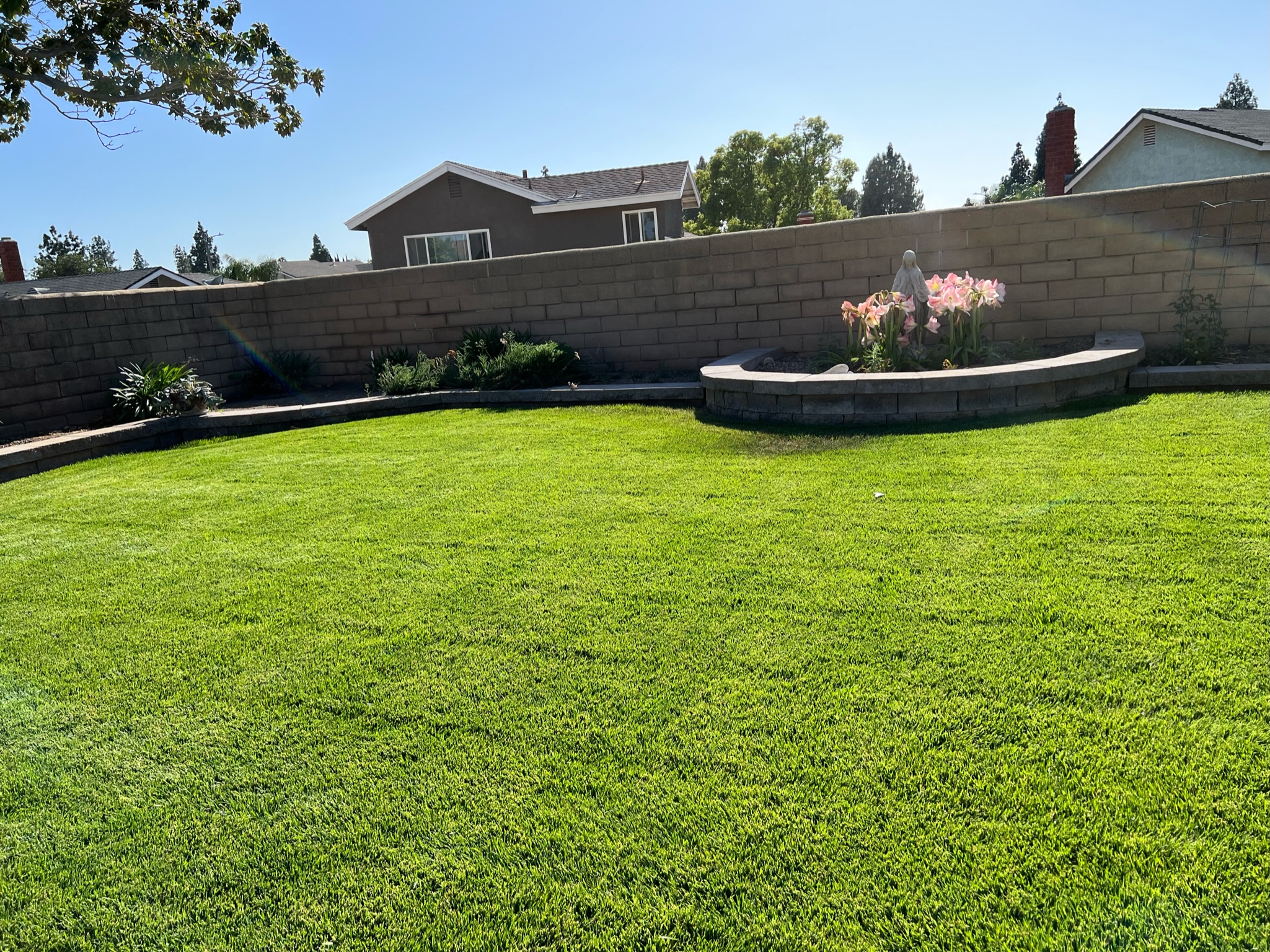 Maintenance ARBOL ROBLE Landscaping Services