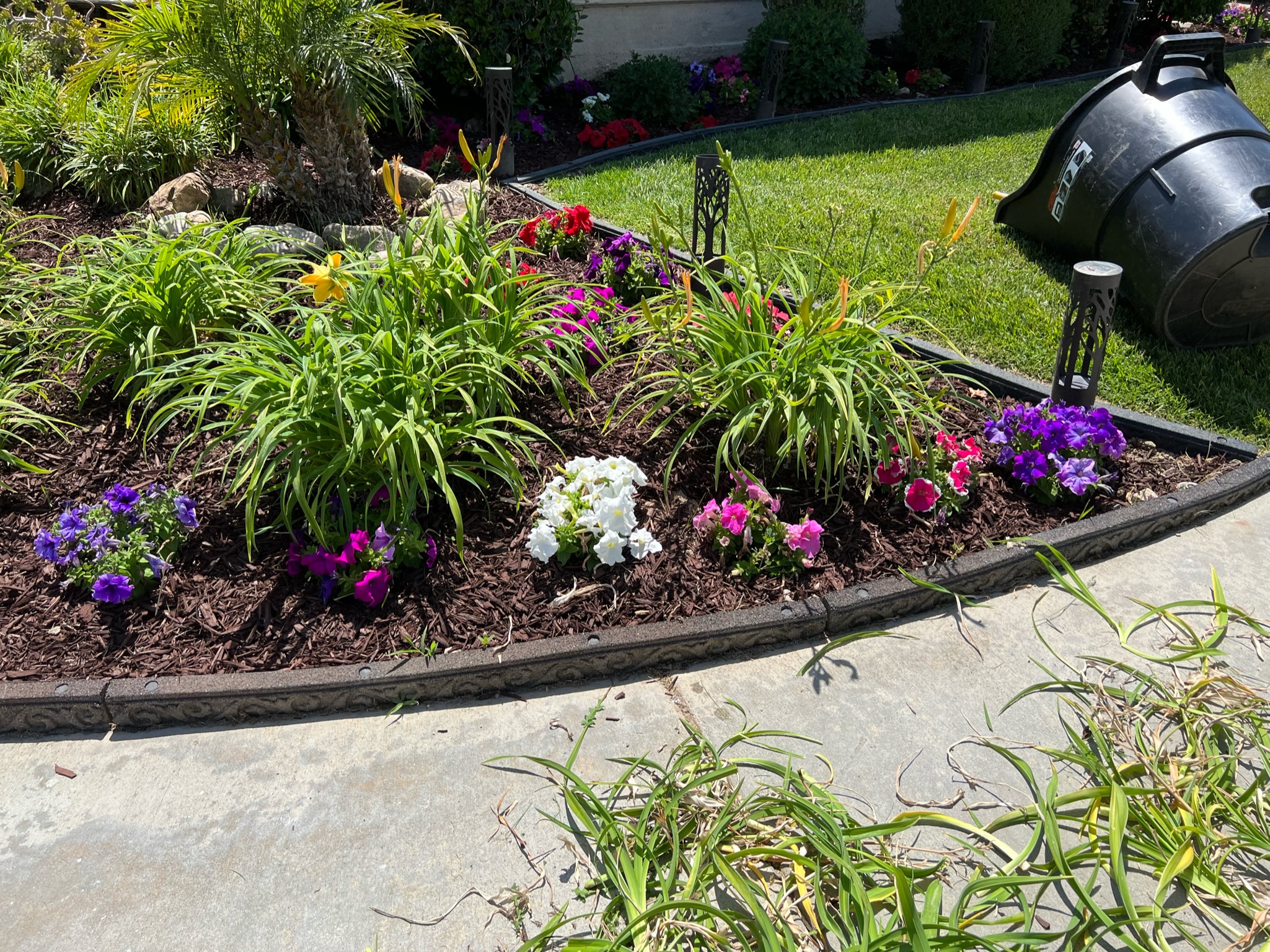 Maintenance ARBOL ROBLE Landscaping Services