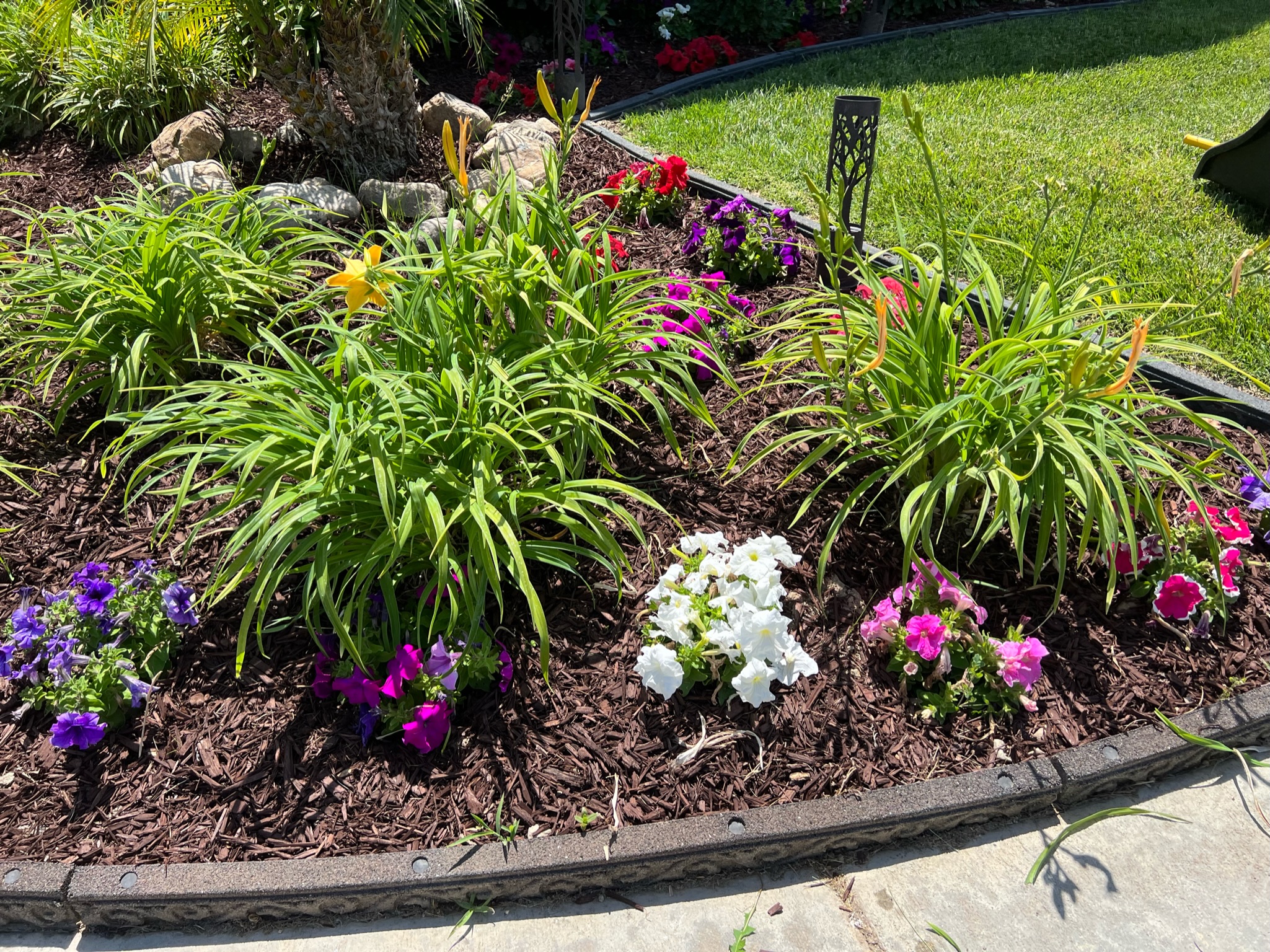 Design Services ARBOL ROBLE Landscaping Services