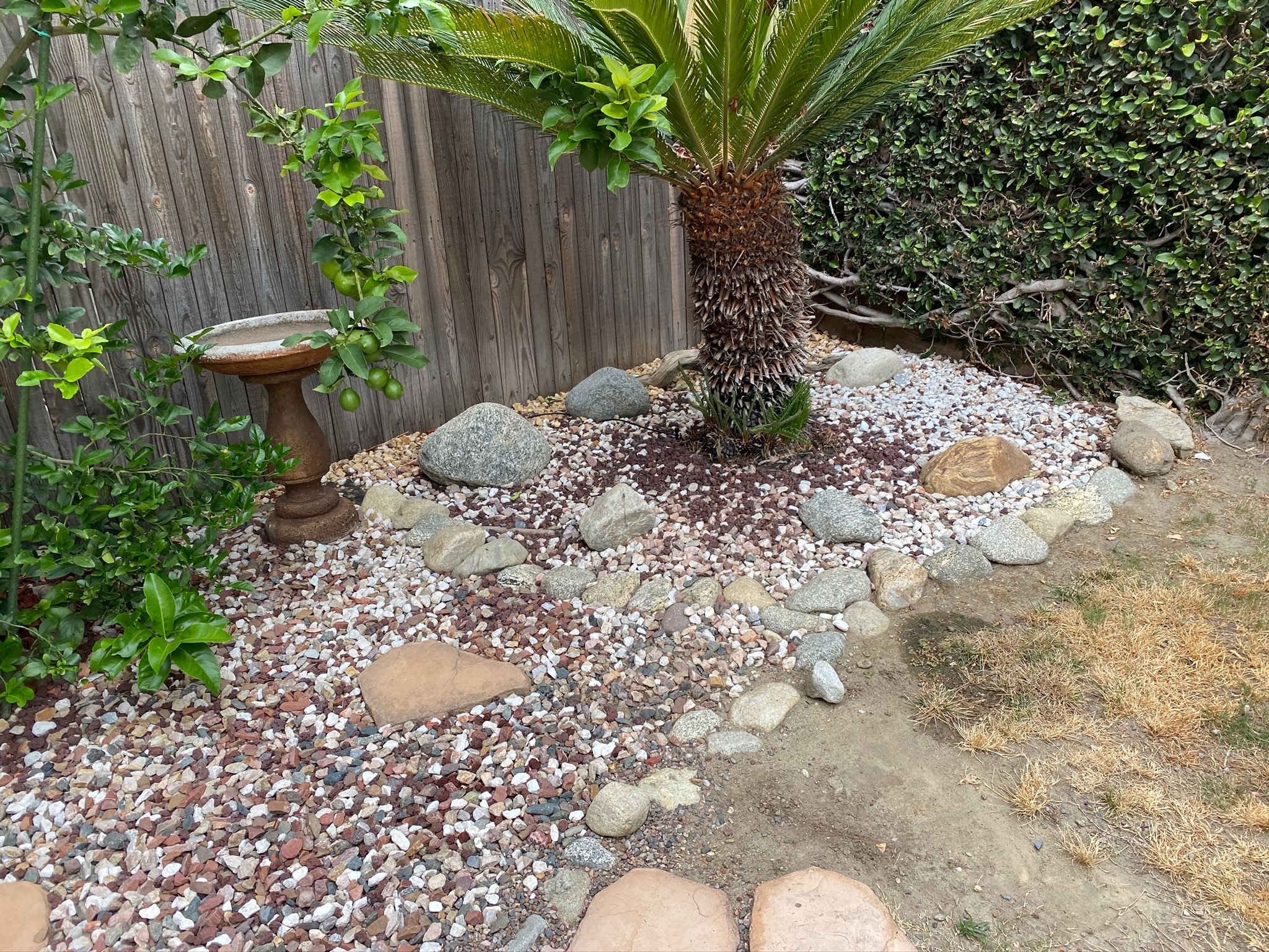 Design Services ARBOL ROBLE Landscaping Services