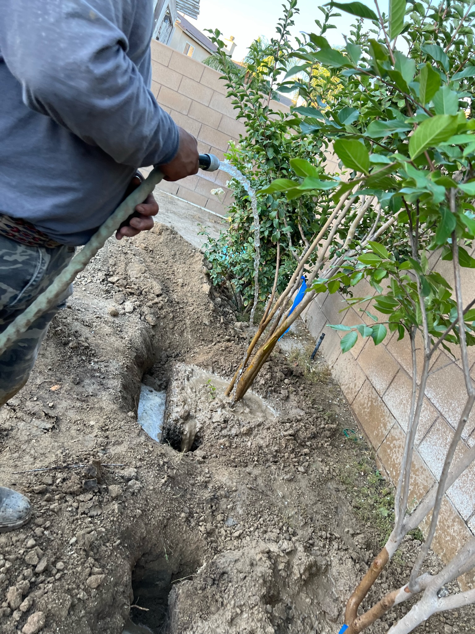 Tree Services ARBOL ROBLE Landscaping Services