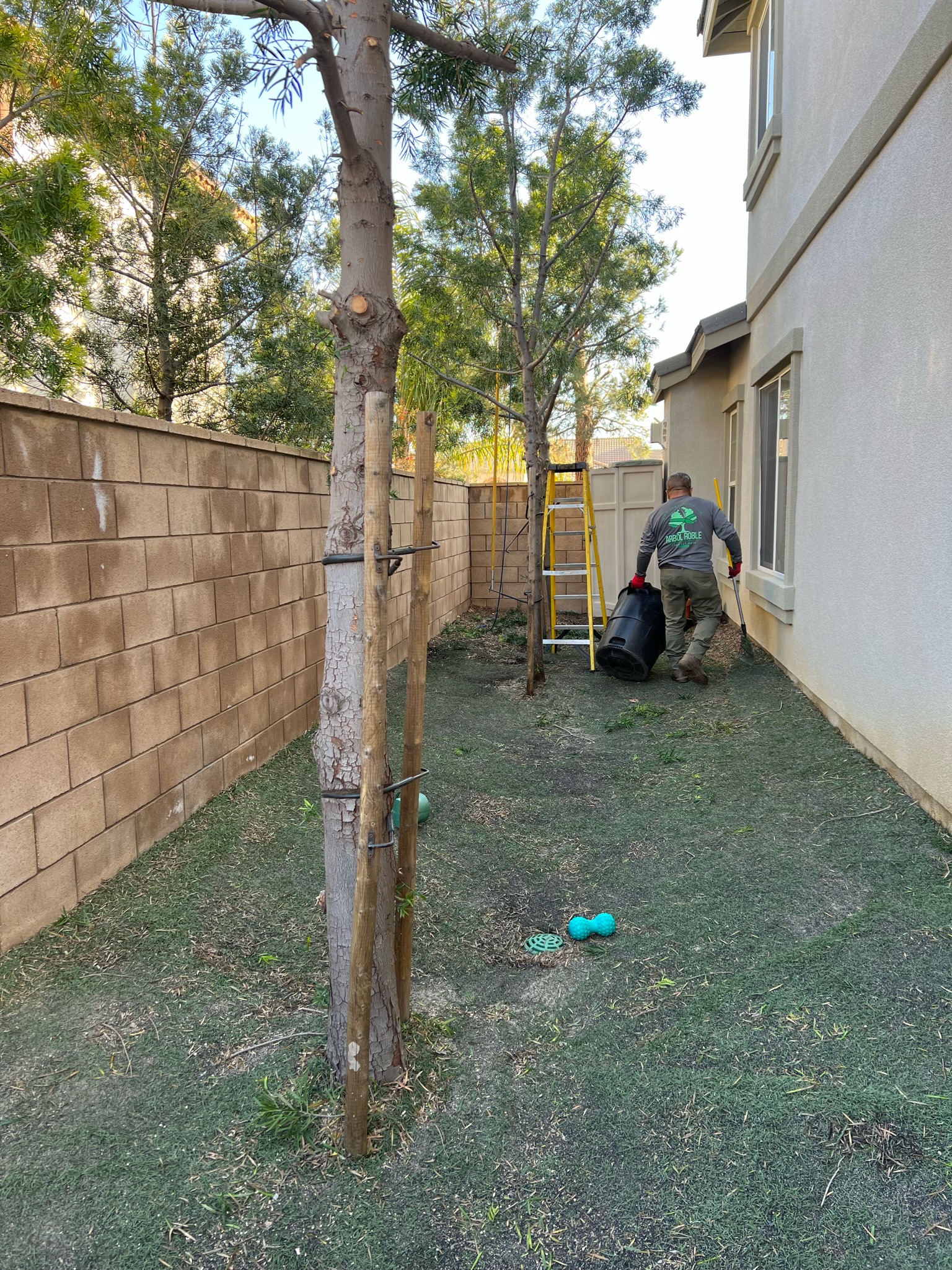 Tree Services ARBOL ROBLE Landscaping Services