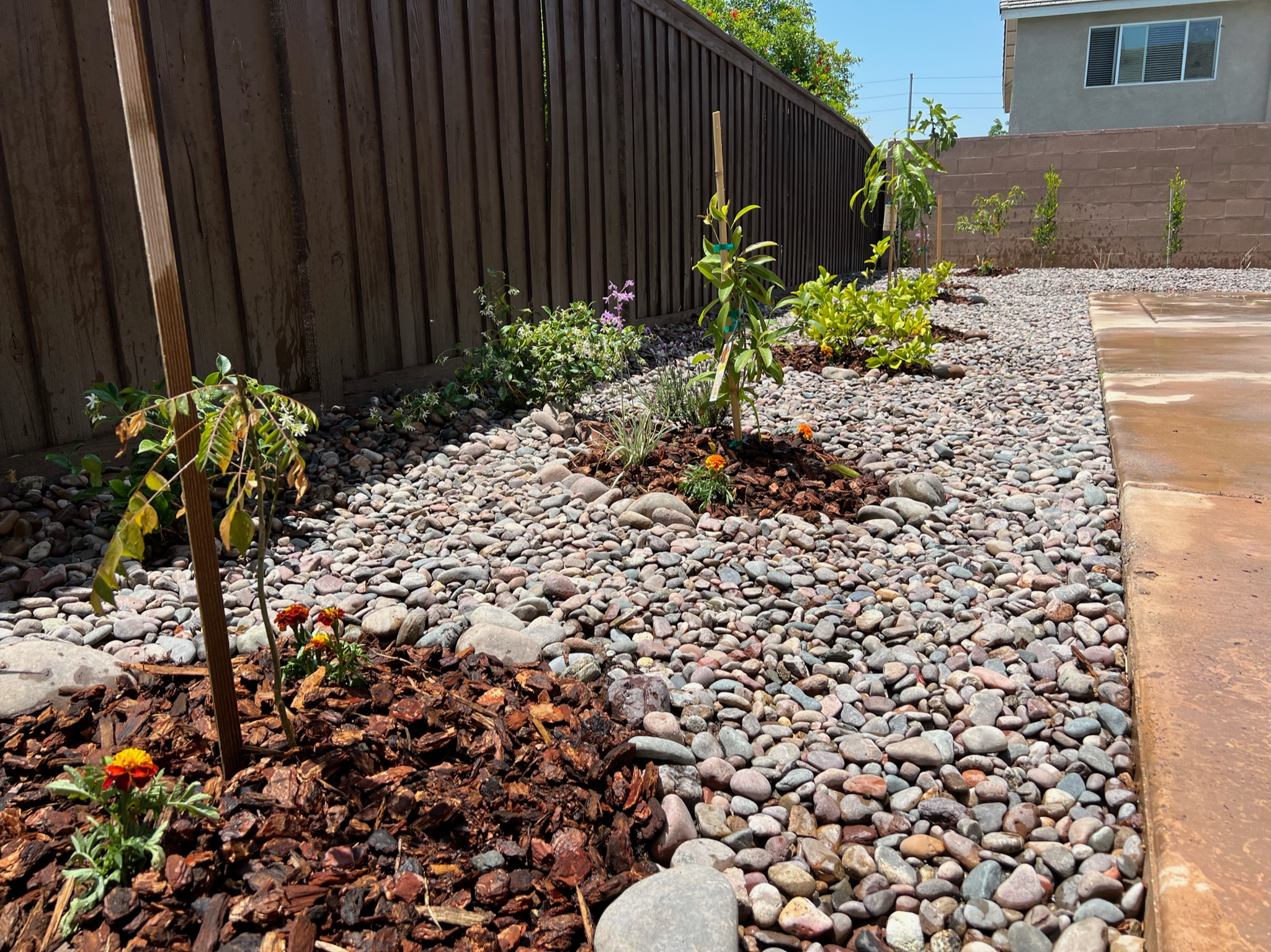 Design Services ARBOL ROBLE Landscaping Services