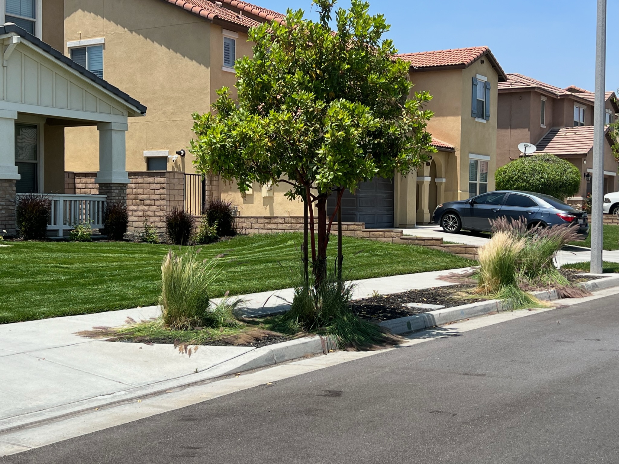 Tree Services ARBOL ROBLE Landscaping Services