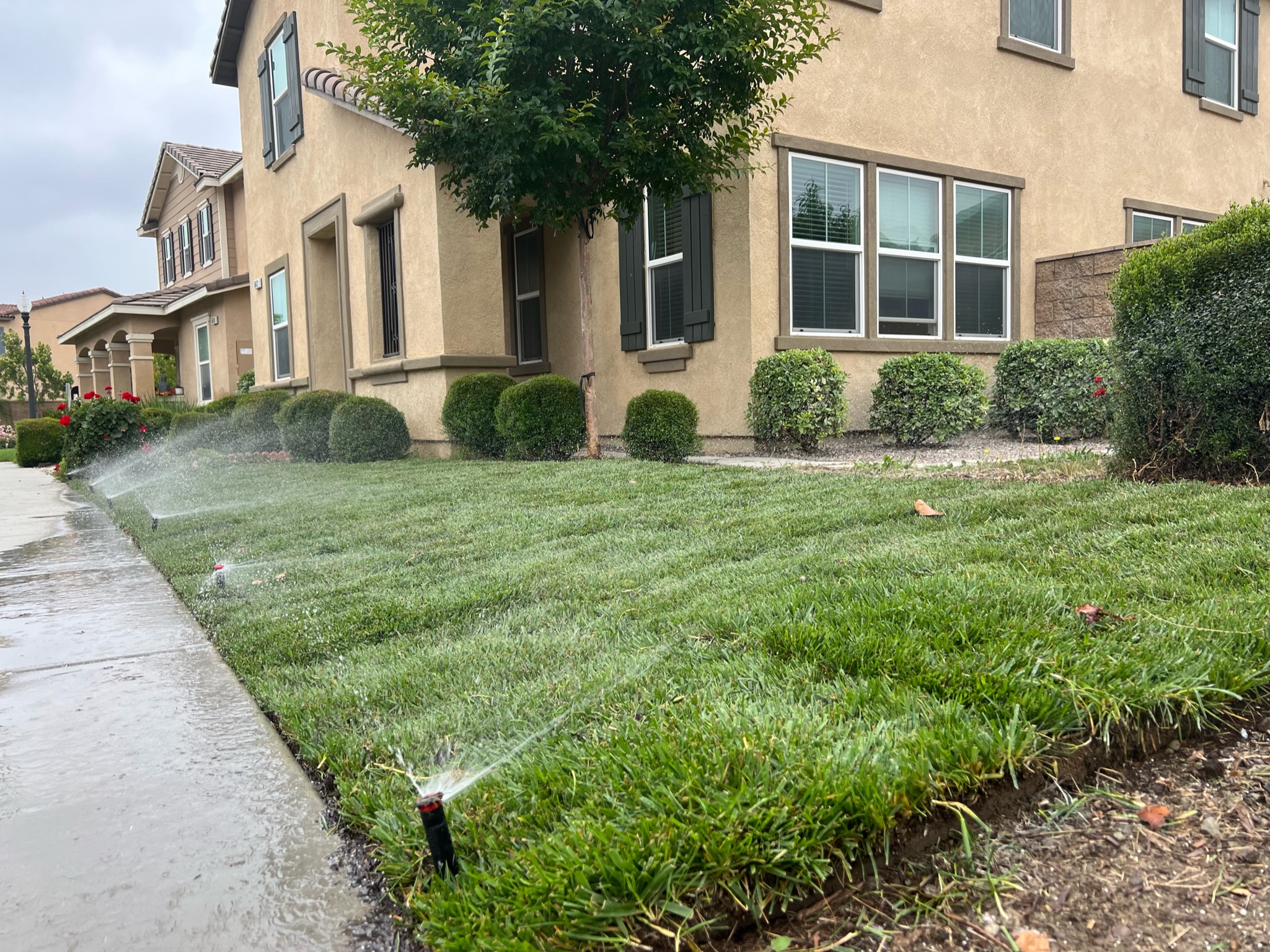 Water Management ARBOL ROBLE Landscaping Services