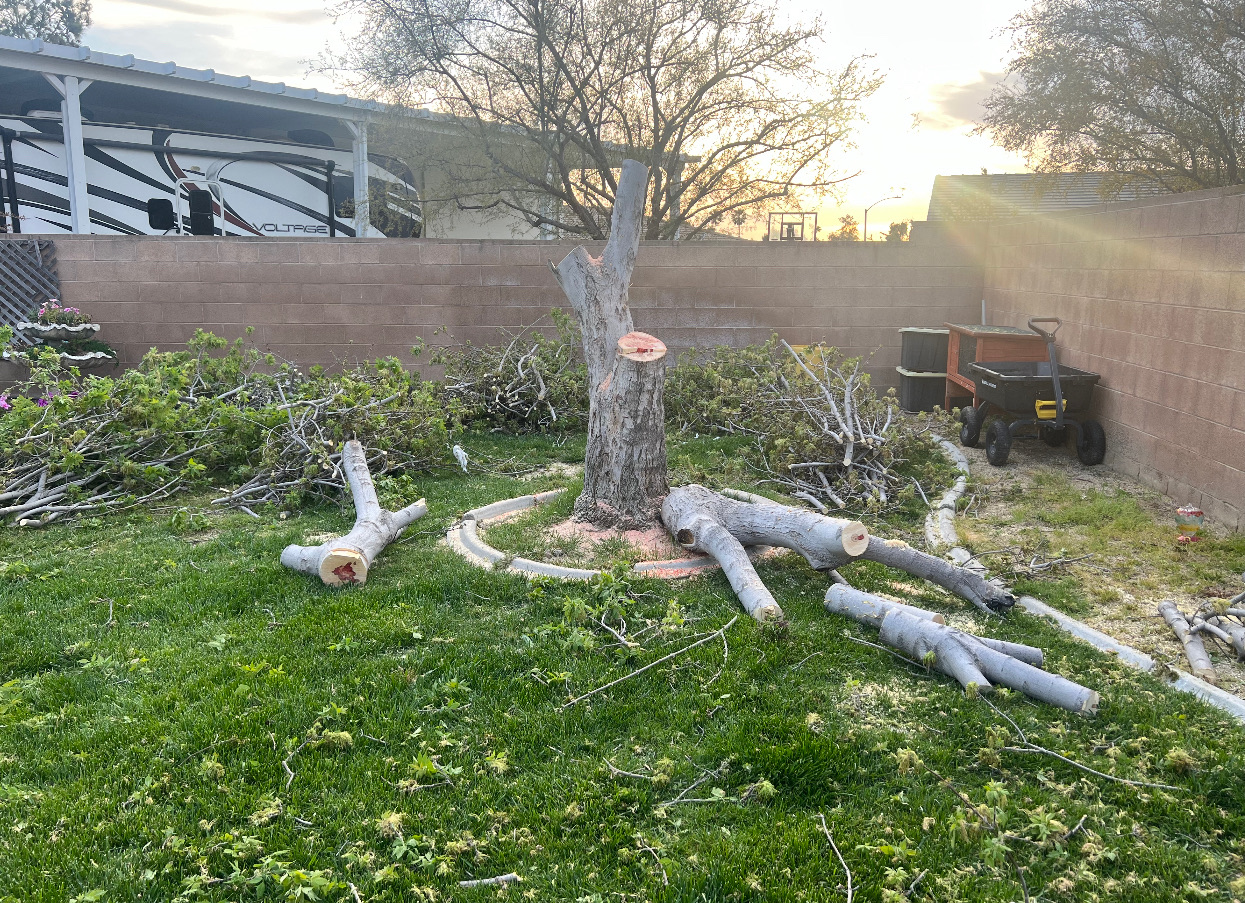 Tree Services ARBOL ROBLE Landscaping Services