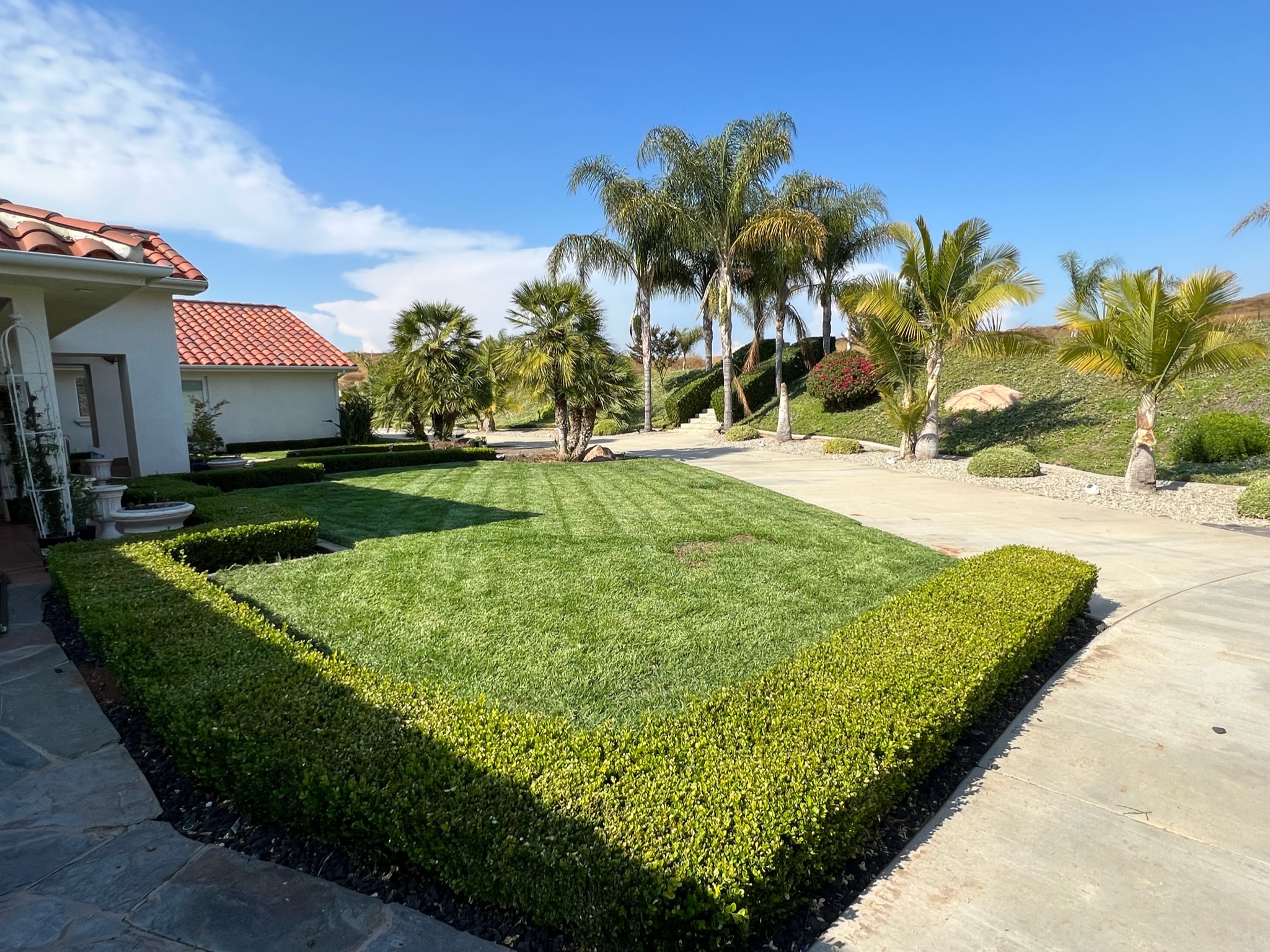 Maintenance ARBOL ROBLE Landscaping Services