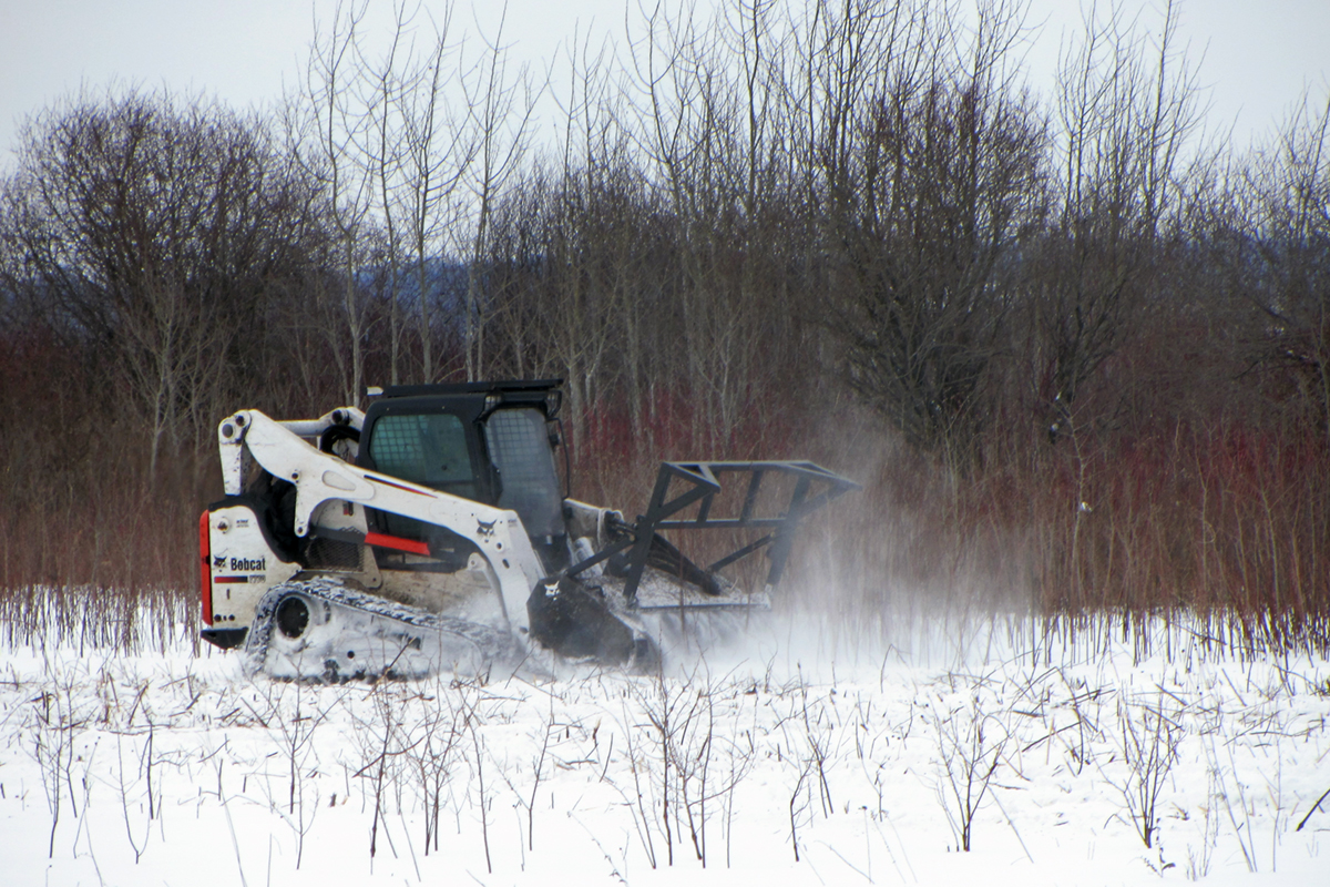 Faville Prairie Brush Mowing Project UW Arboretum