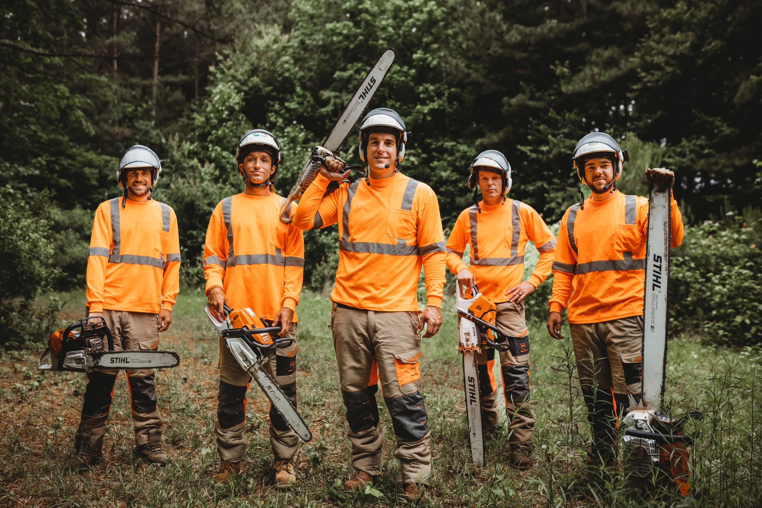 Nutrients for Trees How to Tell If a Tree Lacks Nutrients