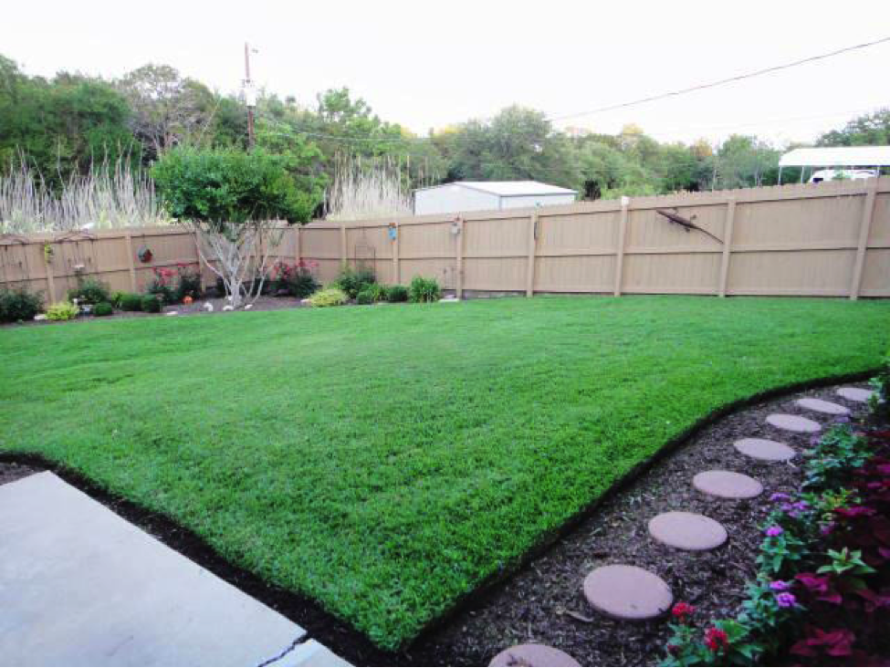 September Lawn Care in Texas