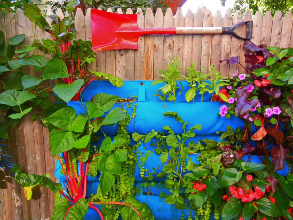 Garden Design Build a Colorful Niche Garden