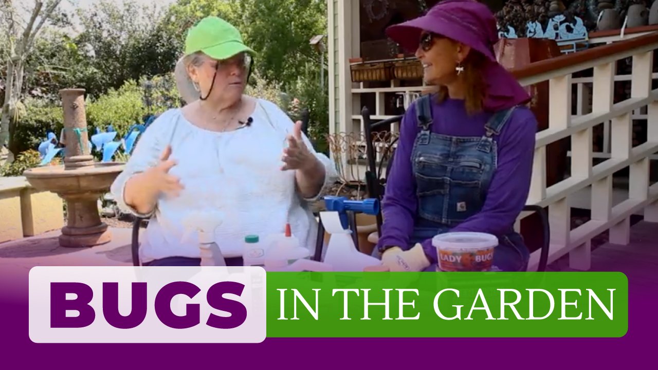 Houston Garden Center & Plant Nursery The Arbor Gate in Tomball