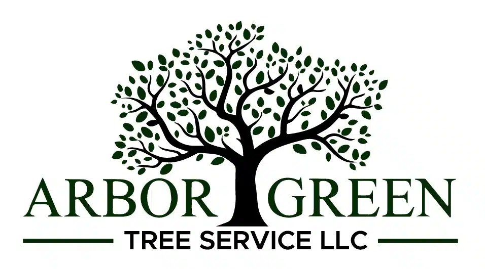 root system Archives Arbor Green Tree Service