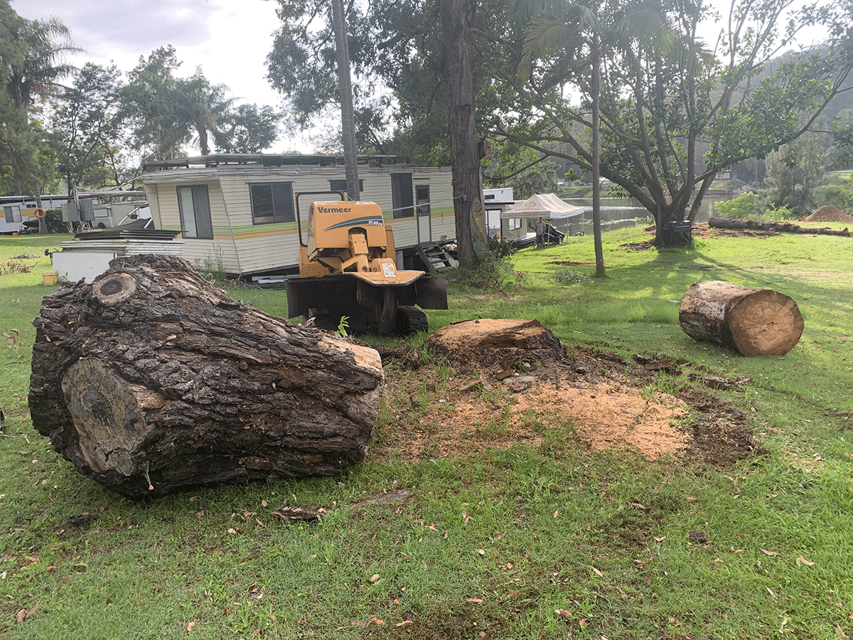 About Arbor Grind Sydney Arborist