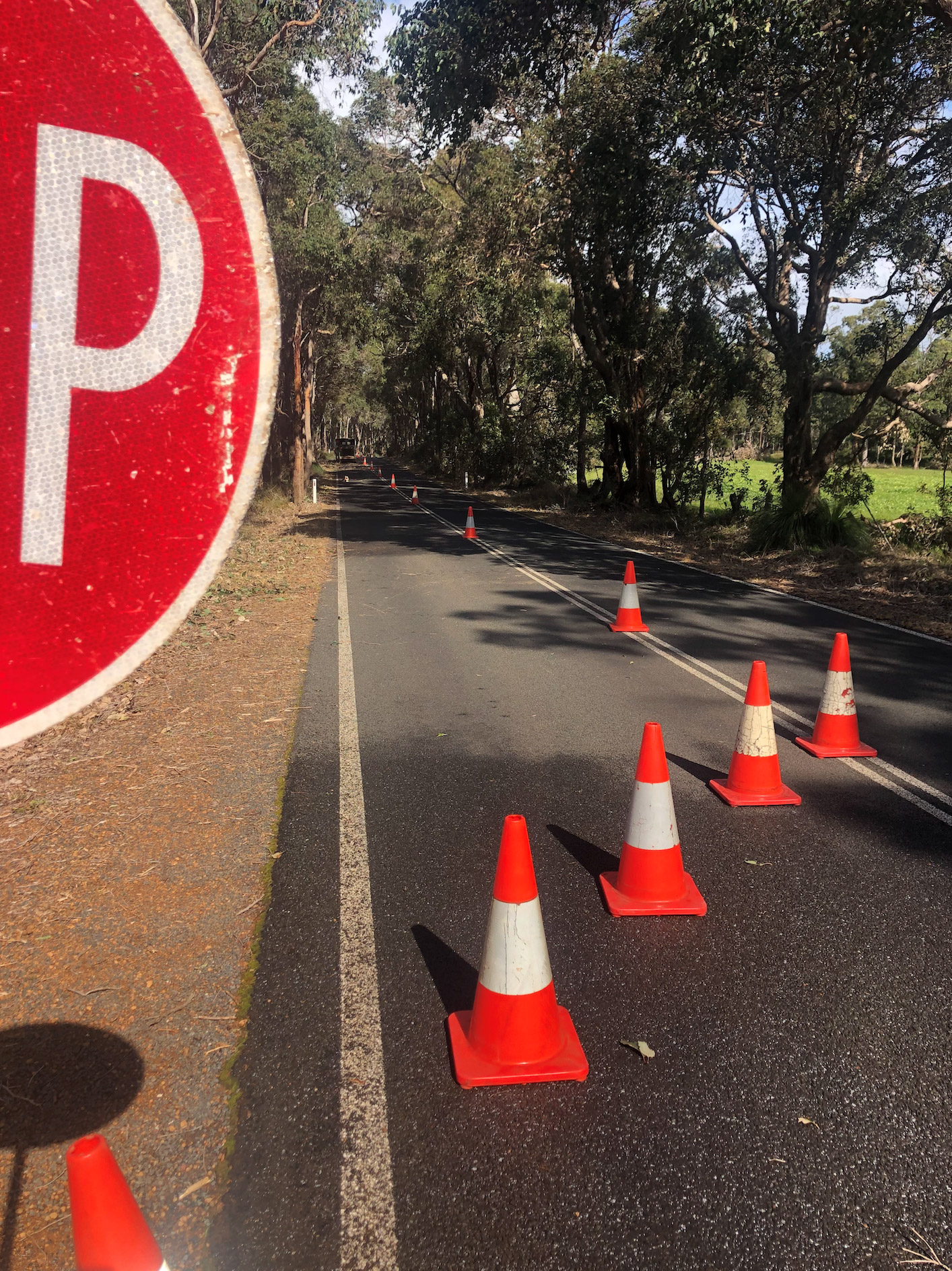 Traffic Management Arbor Guy