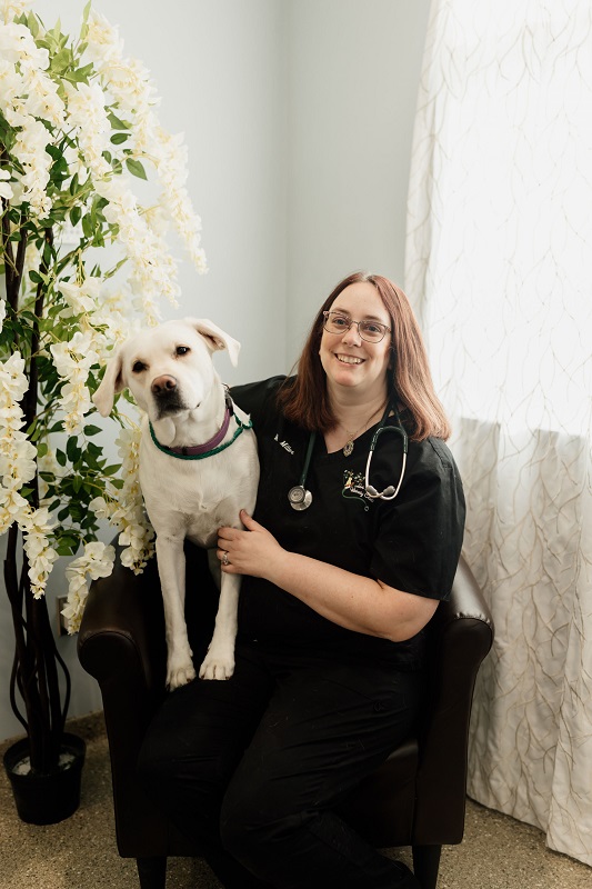 Our Team Arbor Hills Veterinary Clinic