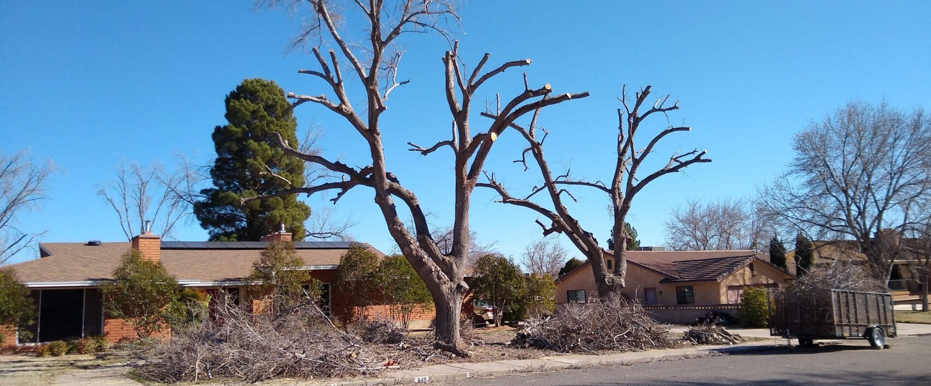 Tree Topping Arborist.co