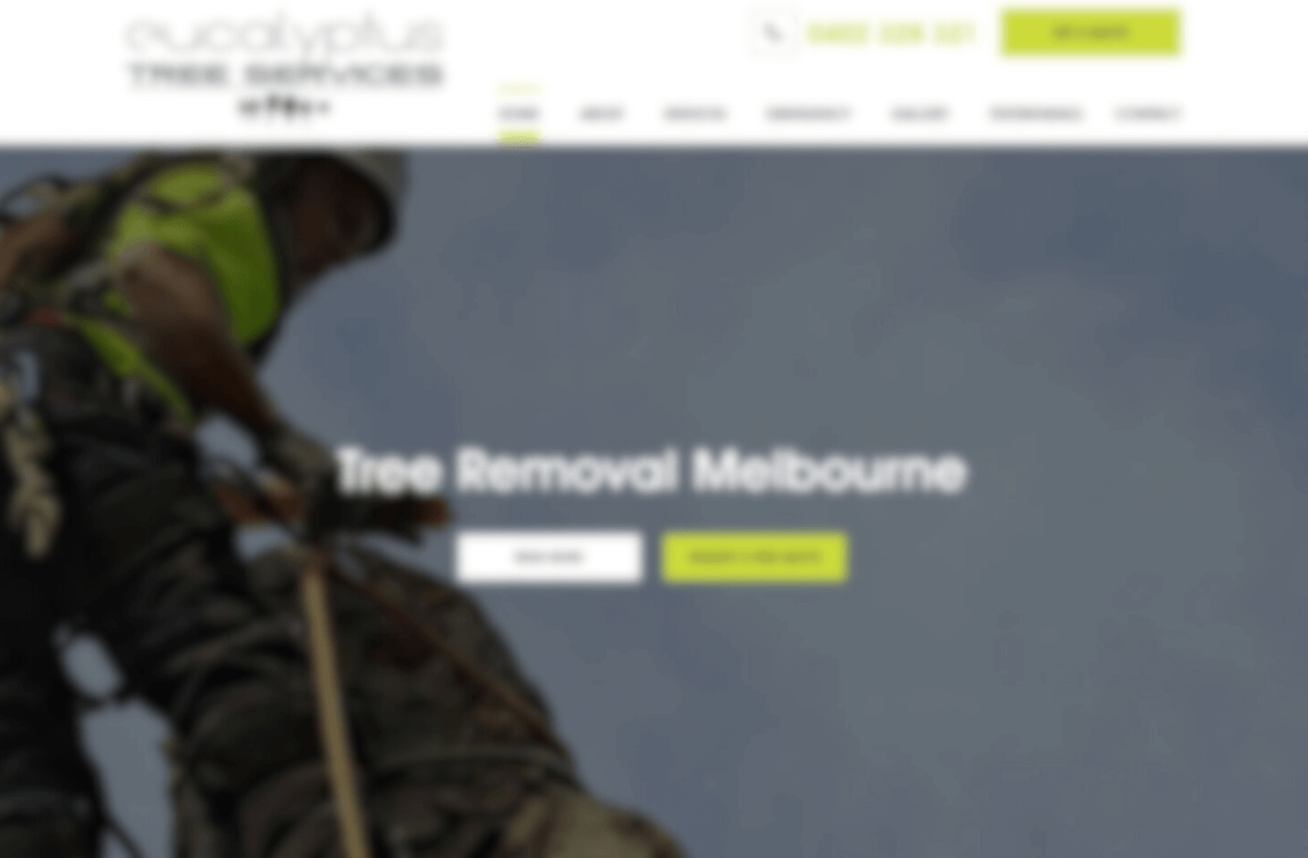 20+ Best Arborist, Tree Cutting, Lopping in Melbourne, Victoria [2023]