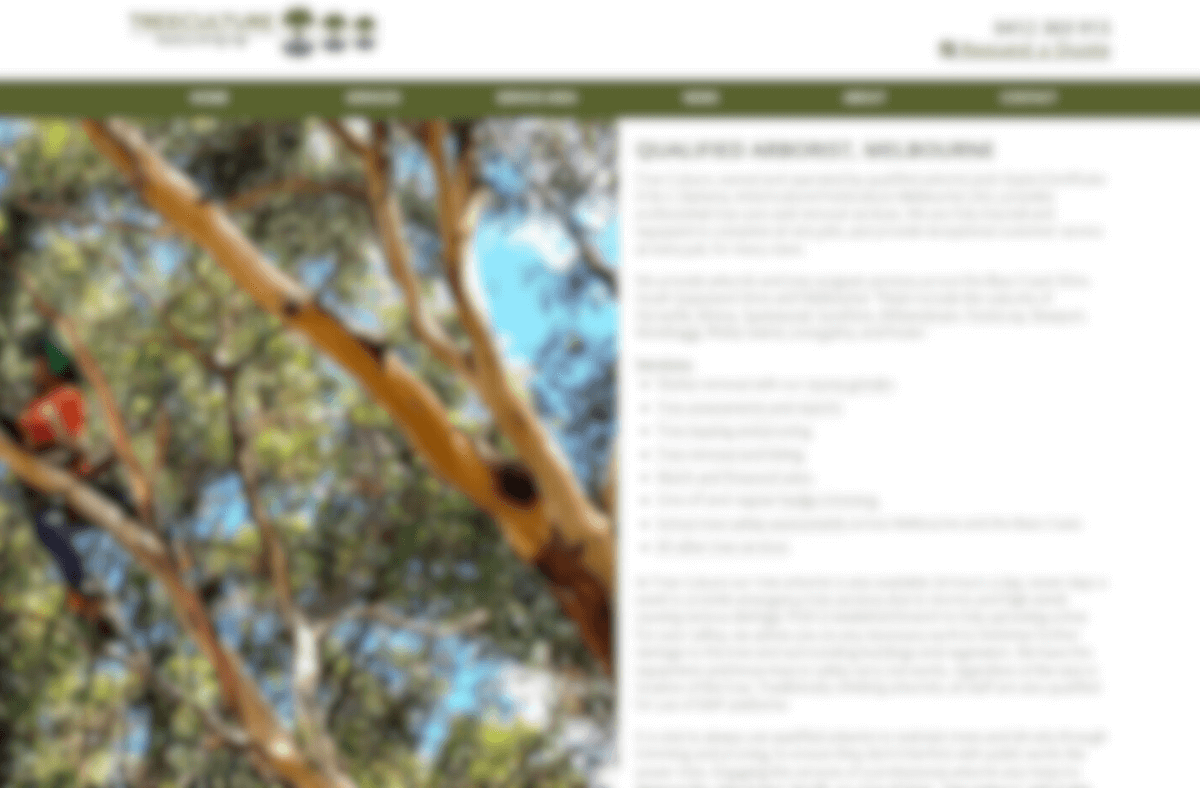 20+ Best Arborist, Tree Cutting, Lopping in Melbourne, Victoria [2023]