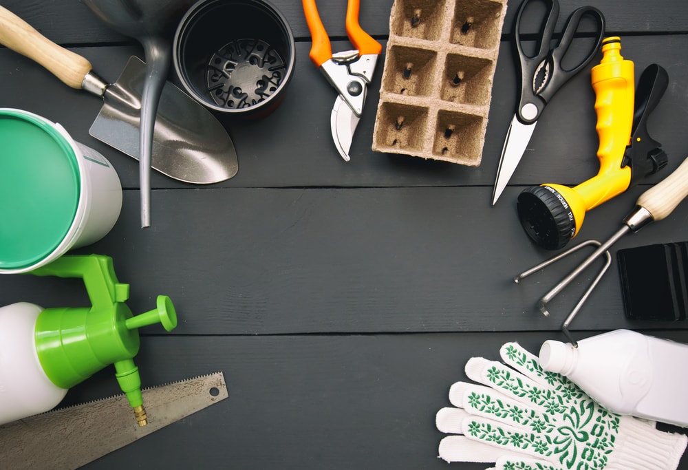 How to Trim a Hedge - Top Hedge Trimming Tips