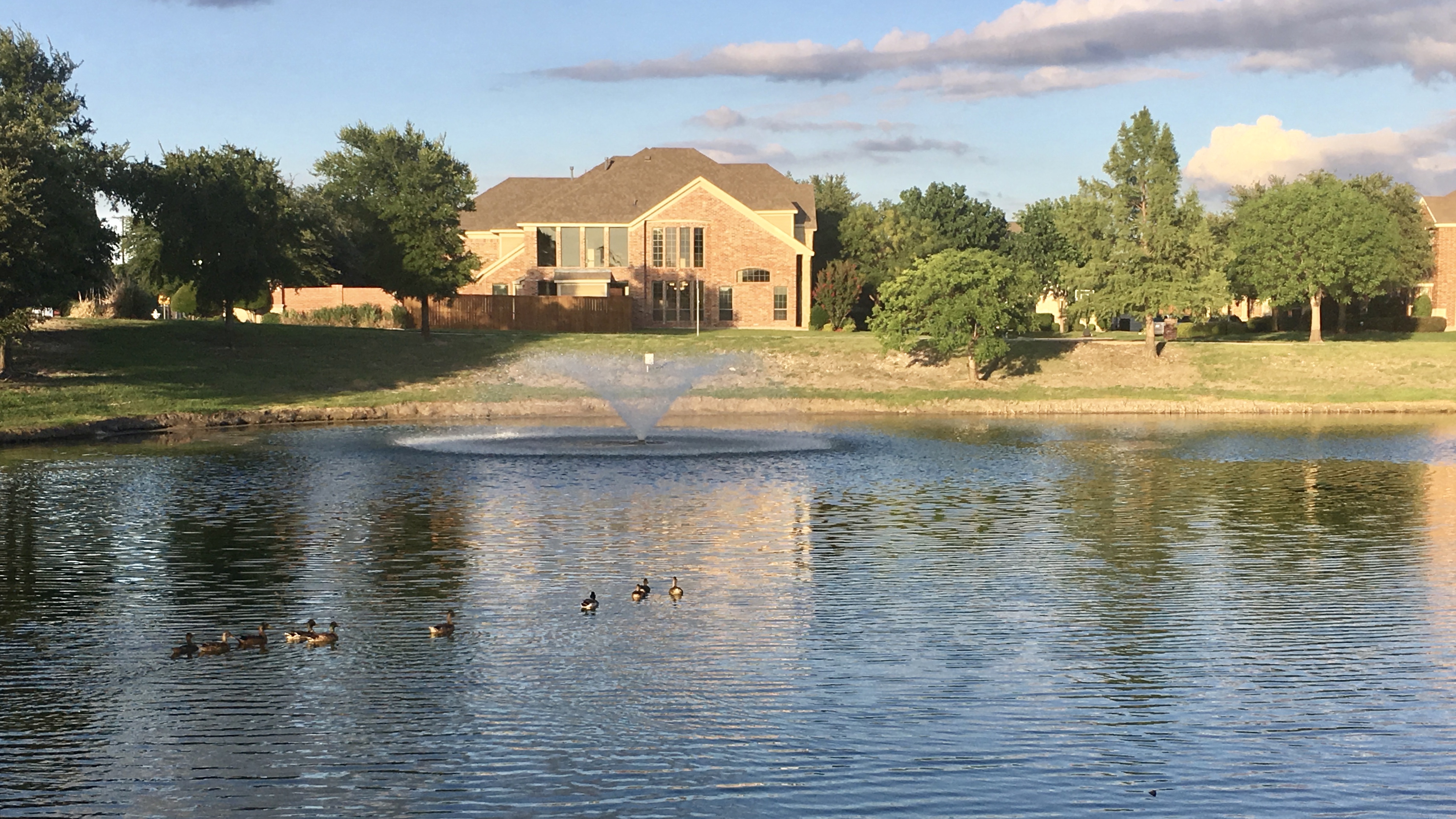 to the Allen, Texas Arbor Lakes HOA site