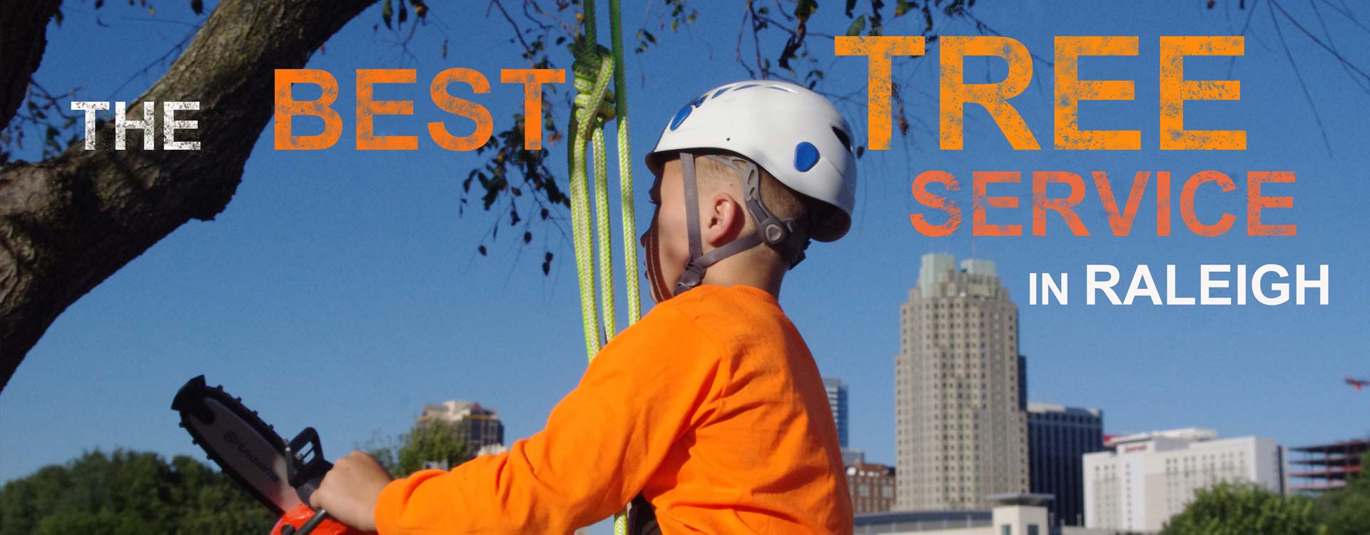 Raleigh Tree Service Tree Removal Service Raleigh Tree Cutting