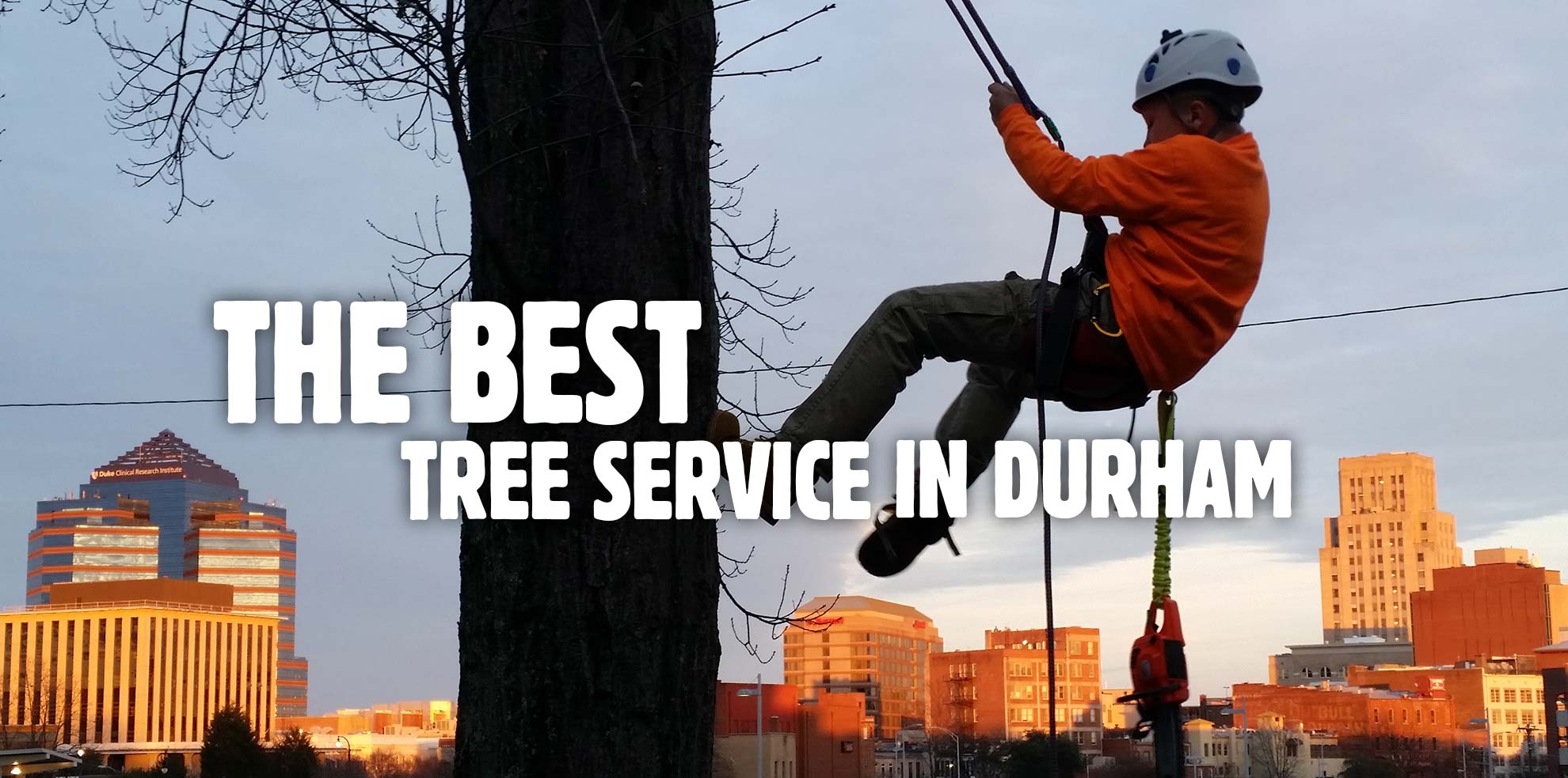 Durham tree service Tree removal service Durham Tree cutting & tree