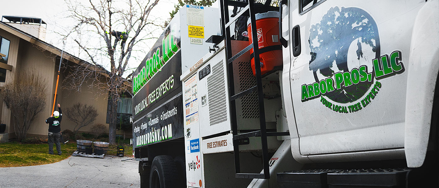 Arbor Pros Reno Tree Services TruckeeTahoe Tree Services