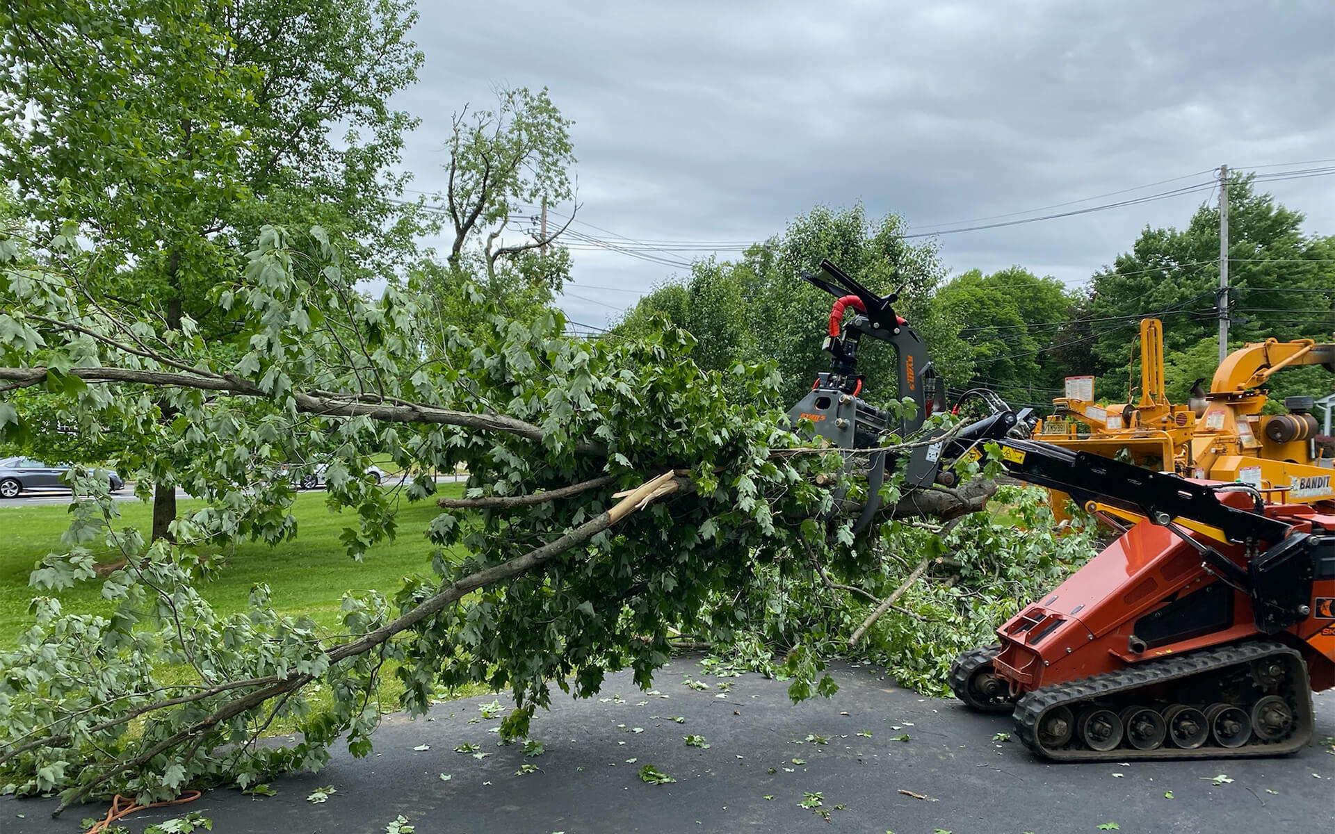 Emergency Storm Damage Tree Removal in New Jersey