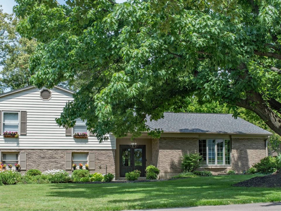 Are Permits Required in New Jersey for Tree Removal? Arbor Releaf