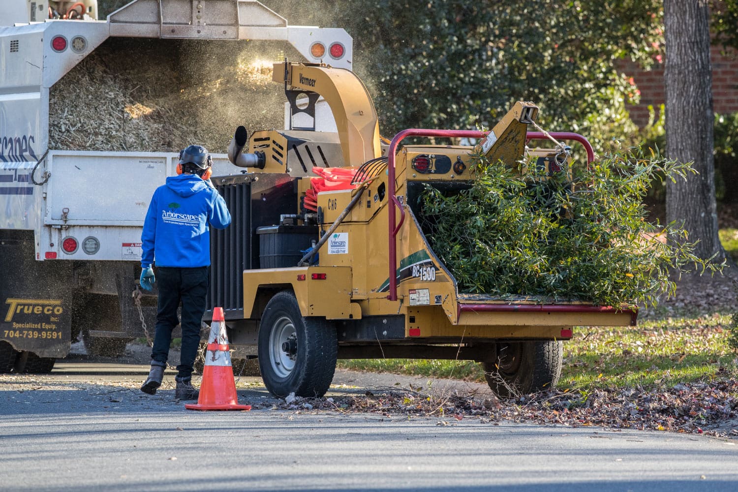 Charlotte Tree Removal, Tree Cutting, Tree Trimming