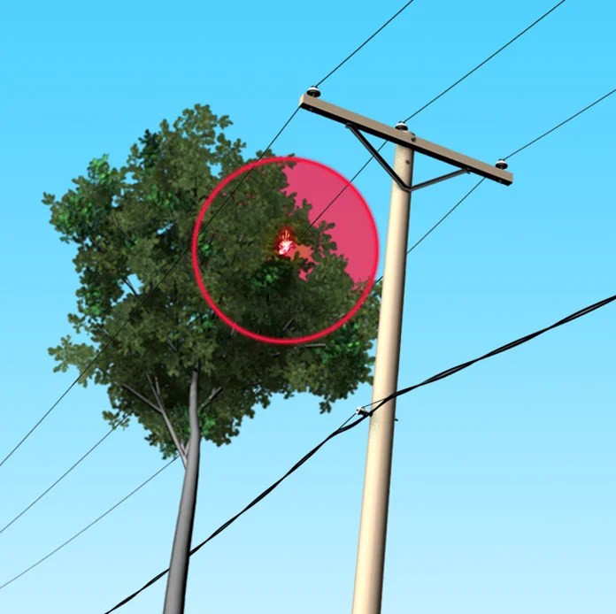 My Trees Are Growing Into The Power Lines ArborTech Inc
