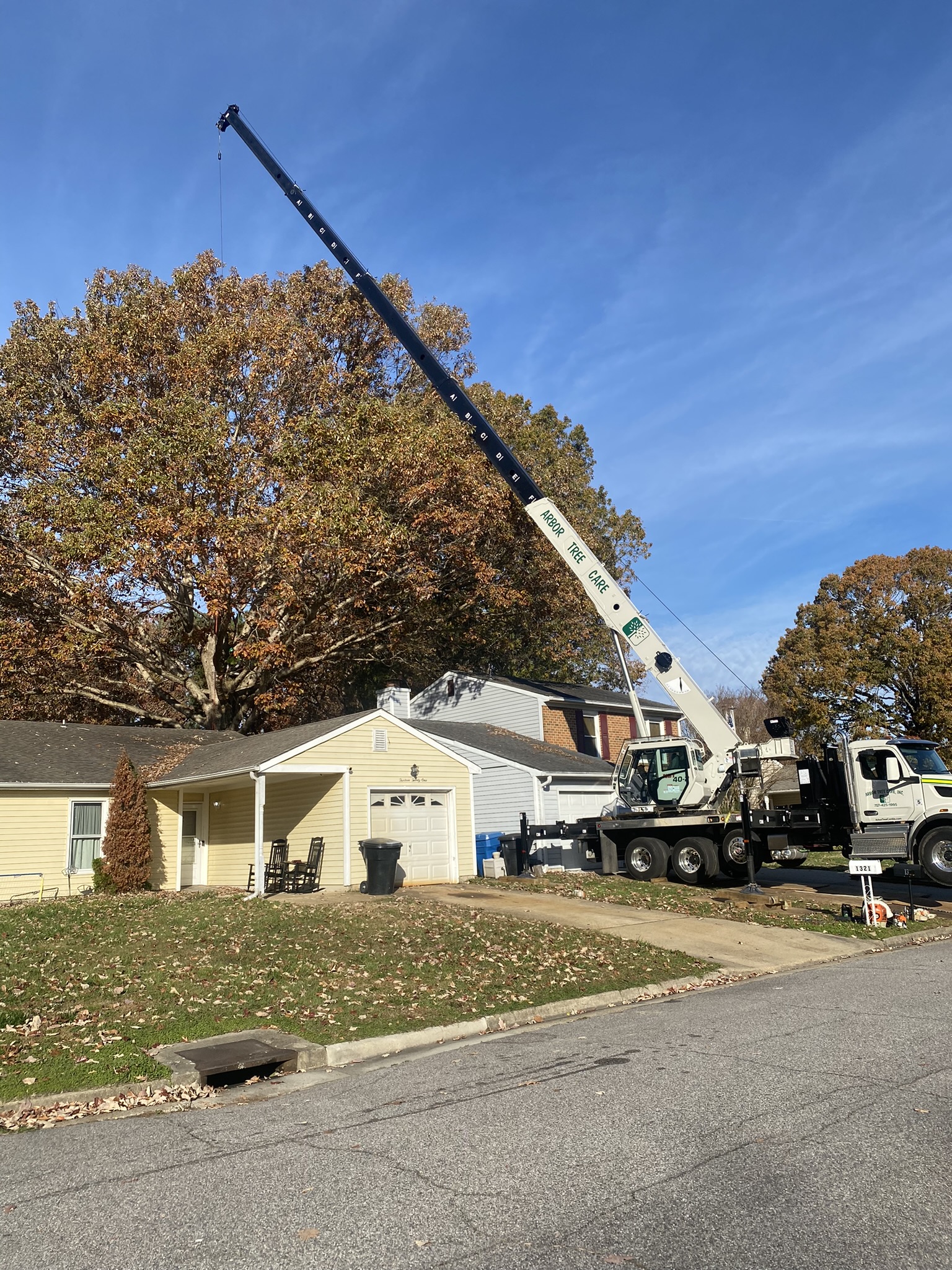 Tree Service Hampton Roads